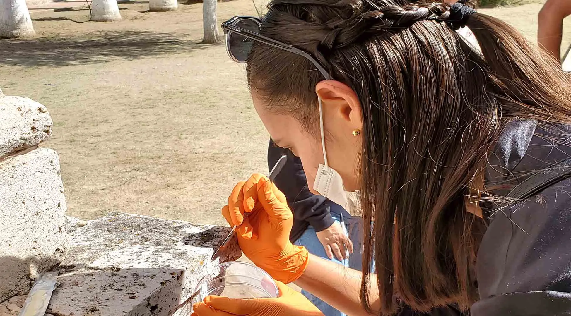 Paran deterioro: alumnos y el INAH juntos en Valle de Allende