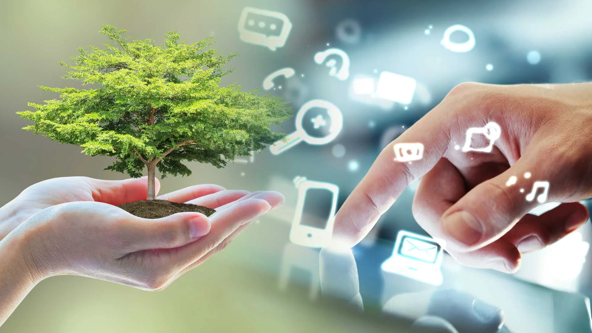 ¡Reducir tu huella de carbono! El propósito de alumnas chiapanecas