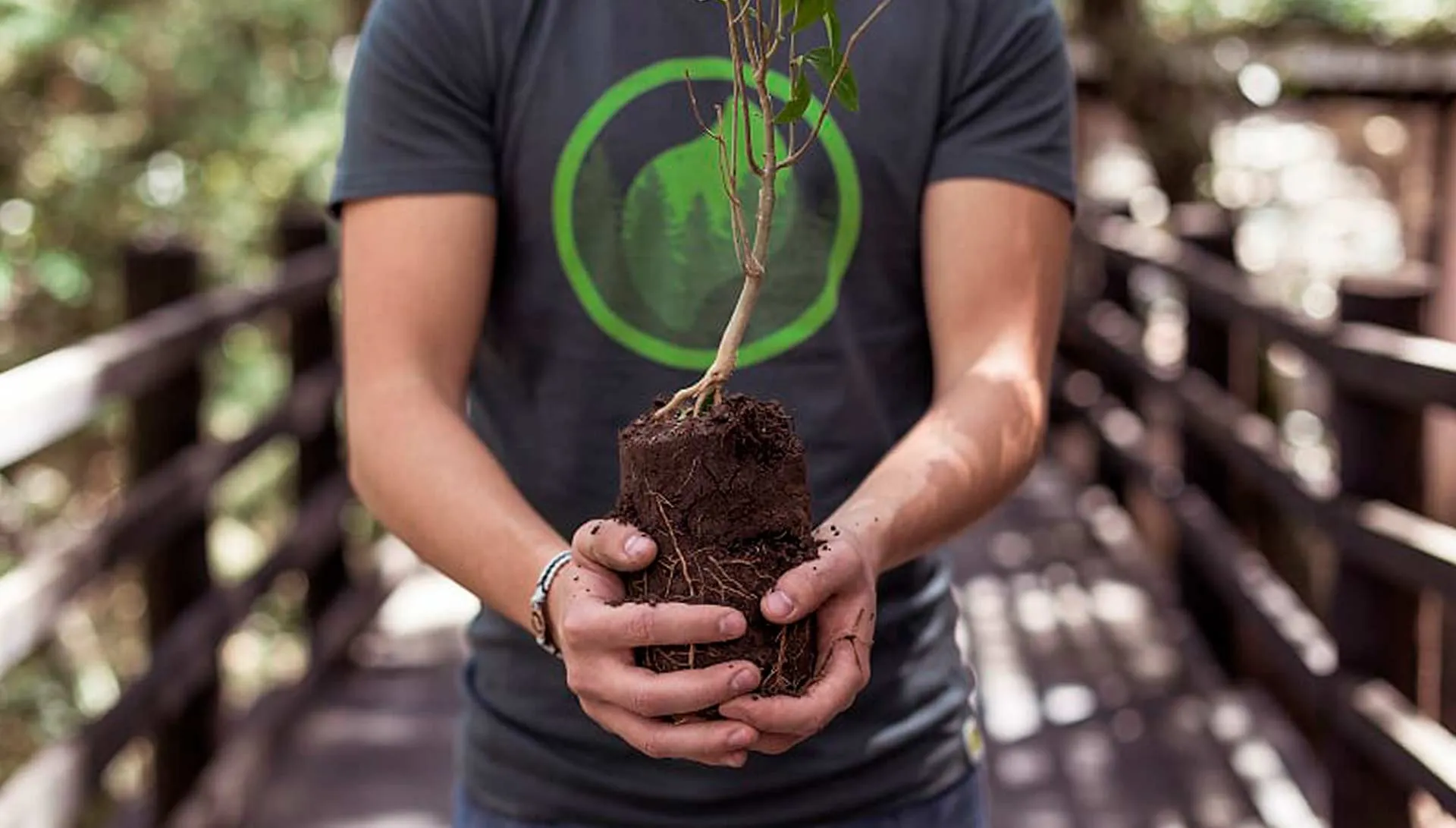Green hug, una idea para el medio ambiente. 