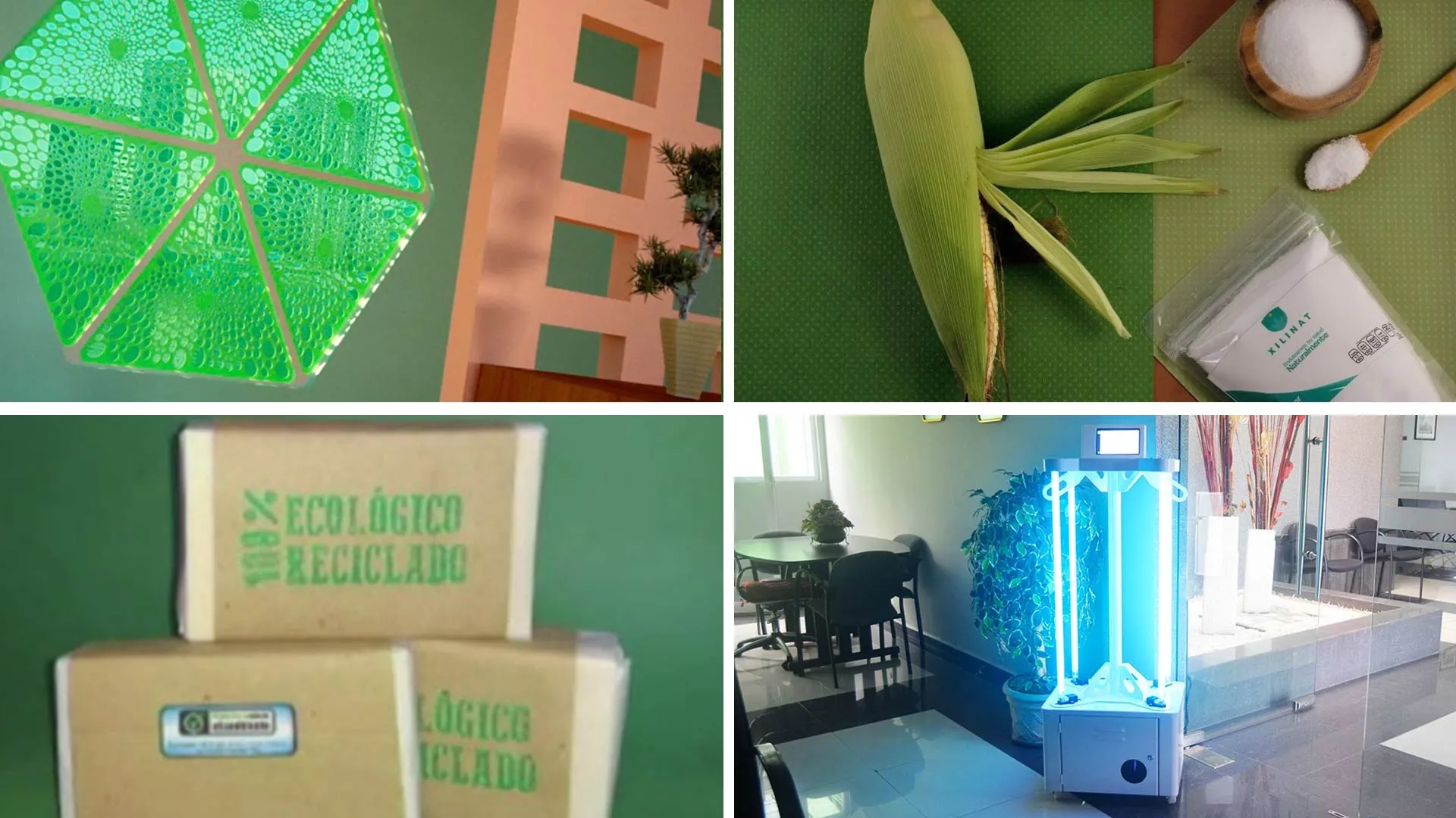 Ejemplos de paneles solares a base de microalgas, sustituto de azúcar para diabéticos, son parte de los emprendimientos que destacaron en INCmty 2020