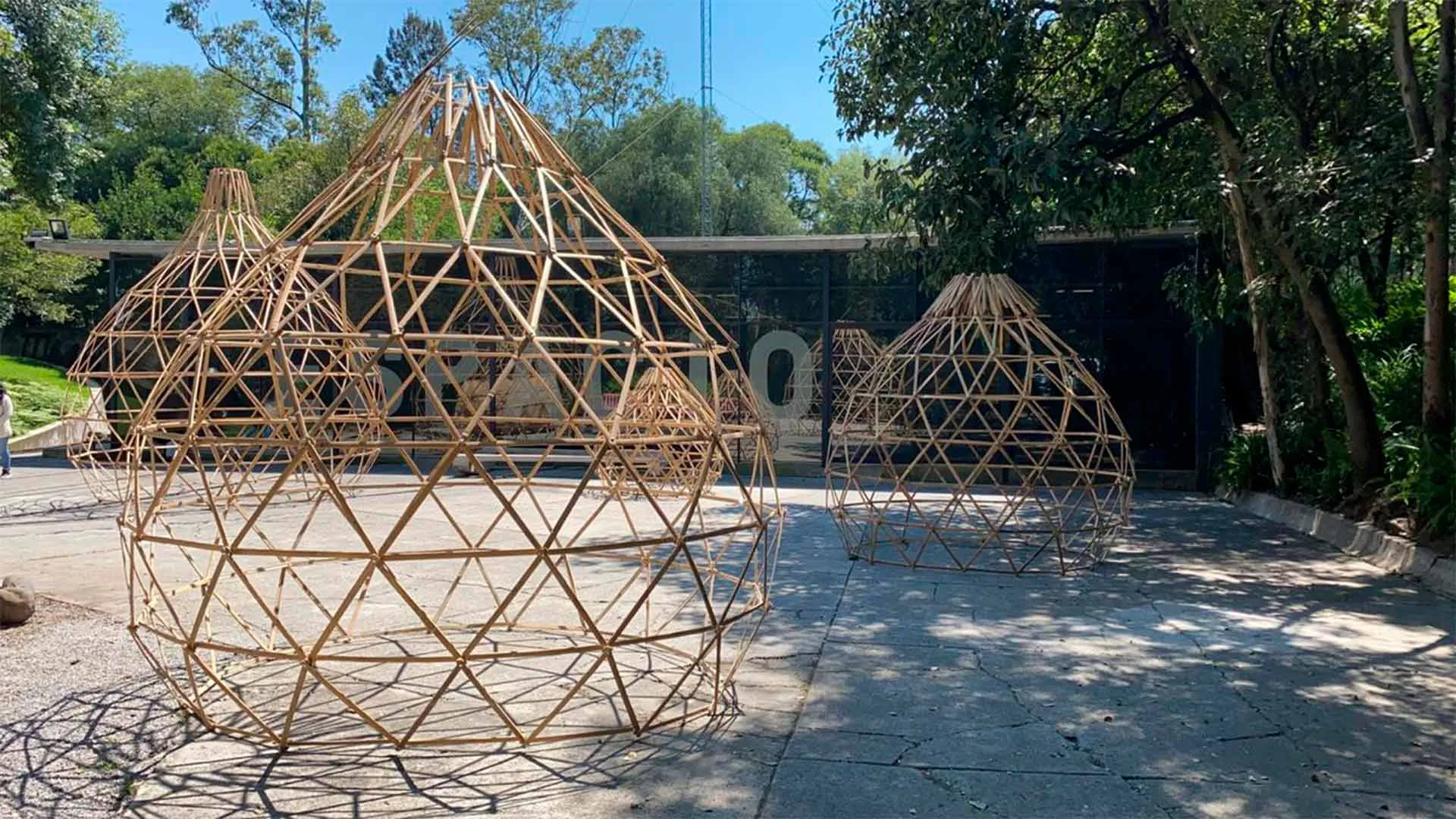 Crean obra arquitectónica a base de bambú y lo exhiben en Chapultepec