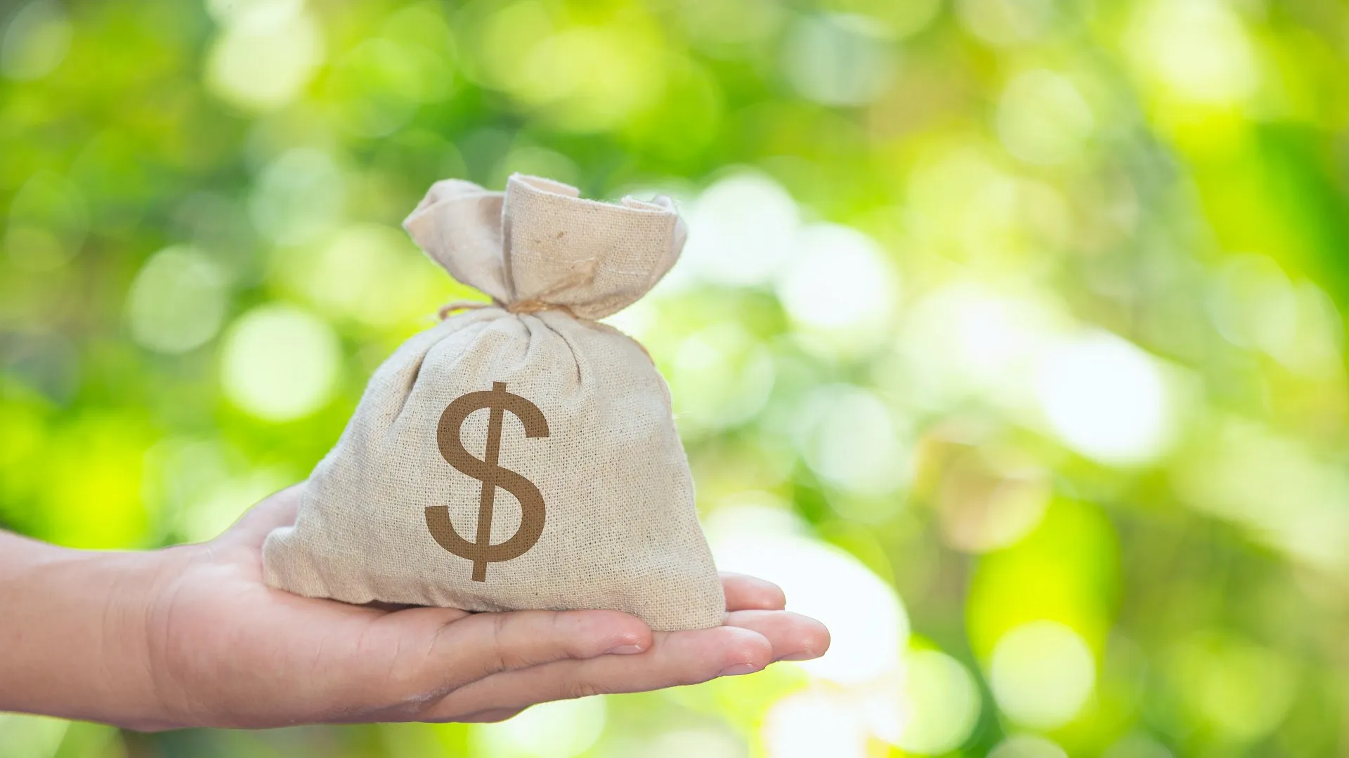 Persona ofreciendo dinero