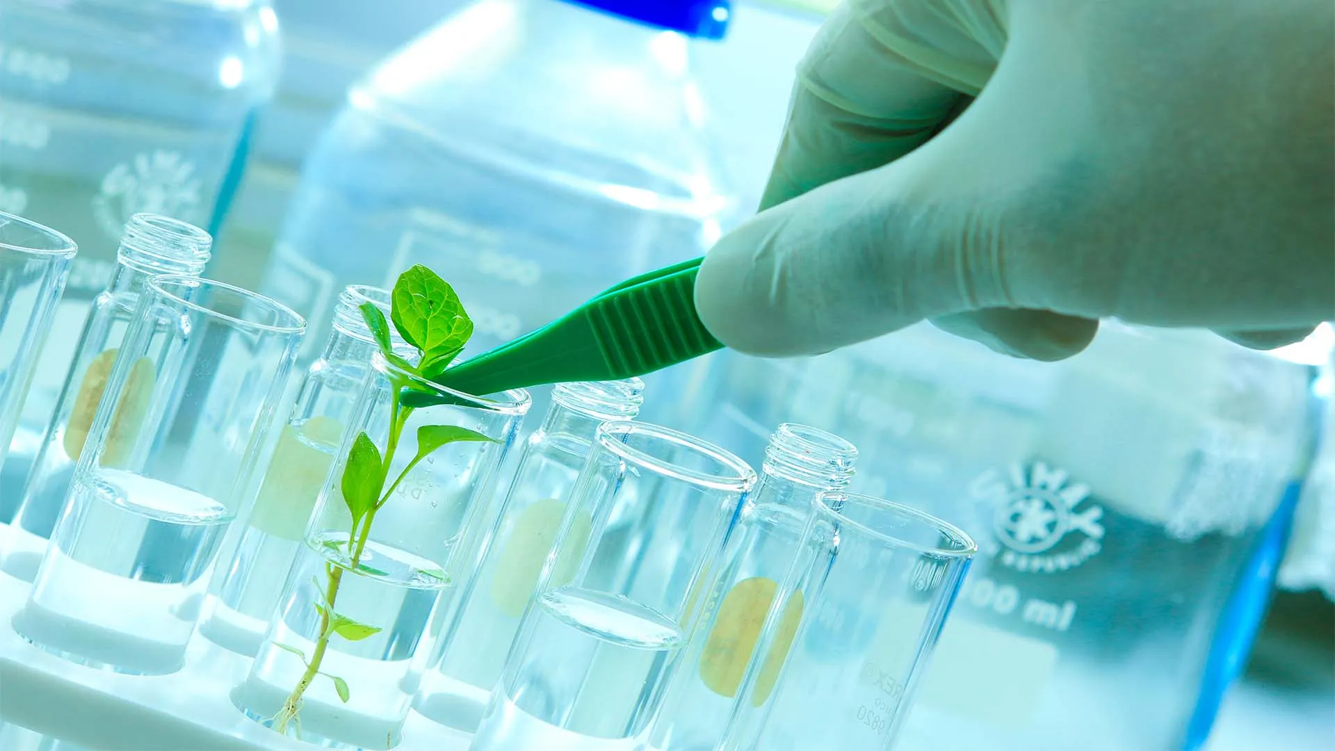 BIOTEC, la iniciativa lagunera para divulgar la Biotecnología