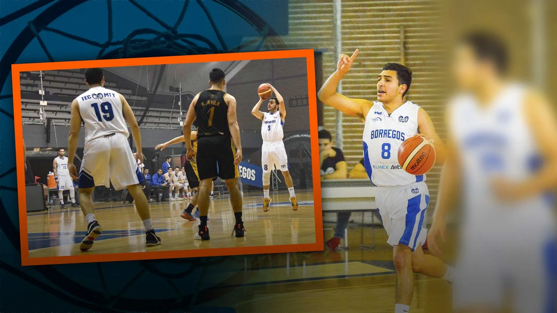 Llega a la cima del basquetbol y encesta con su título profesional