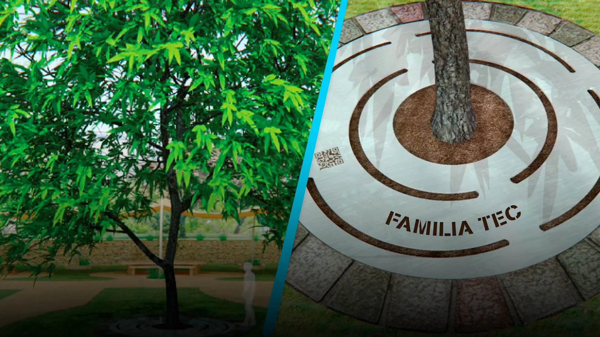 Invitan a ‘sembrar’ tu legado en nuevo Parque Central