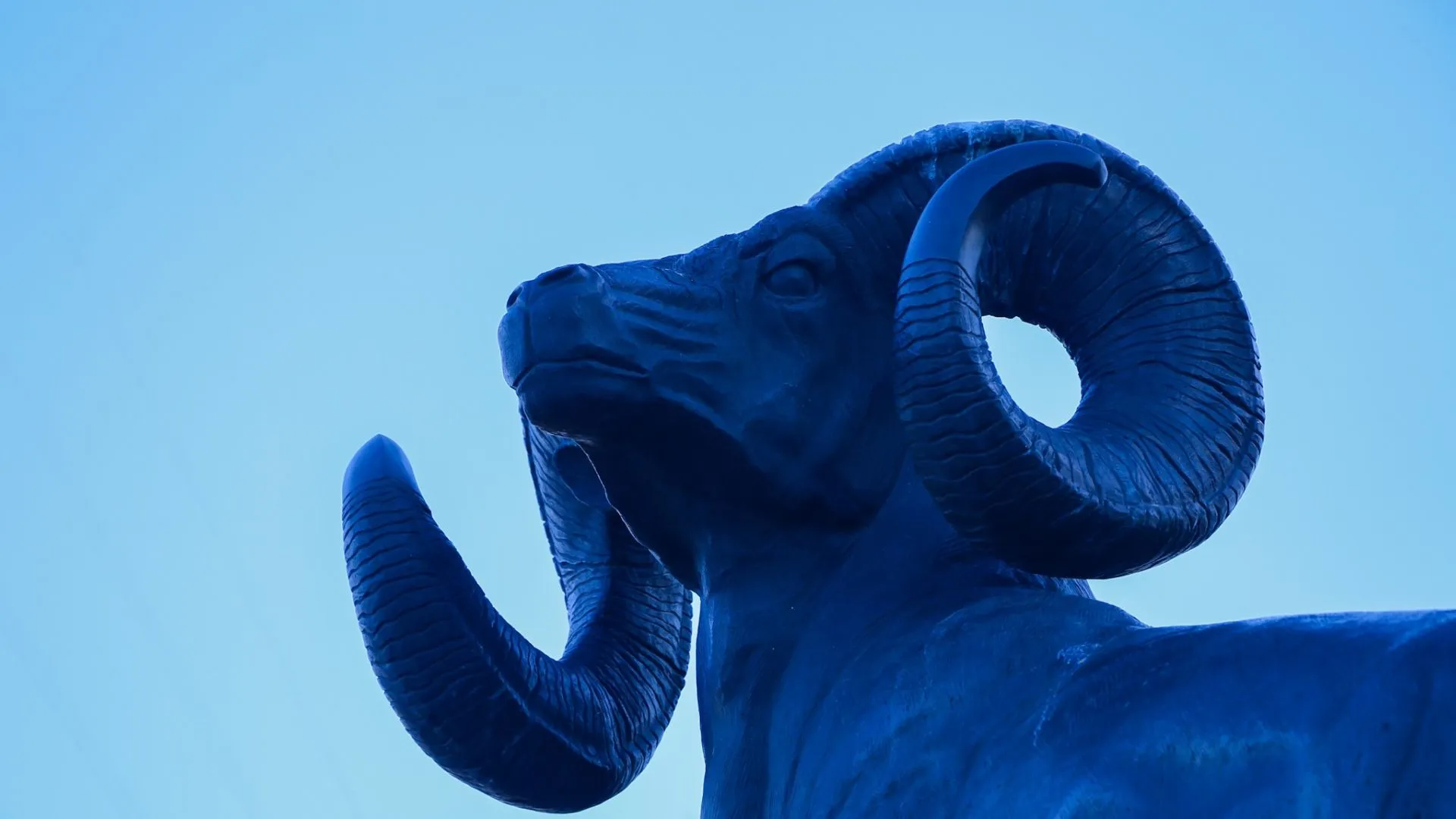 tec-de-monterrey-campus-zacatecas-borregos-tecnologico-aniversario-35