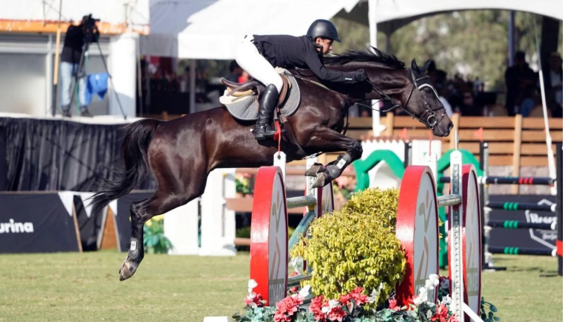 Enrique Capetillo, amante de los caballos 