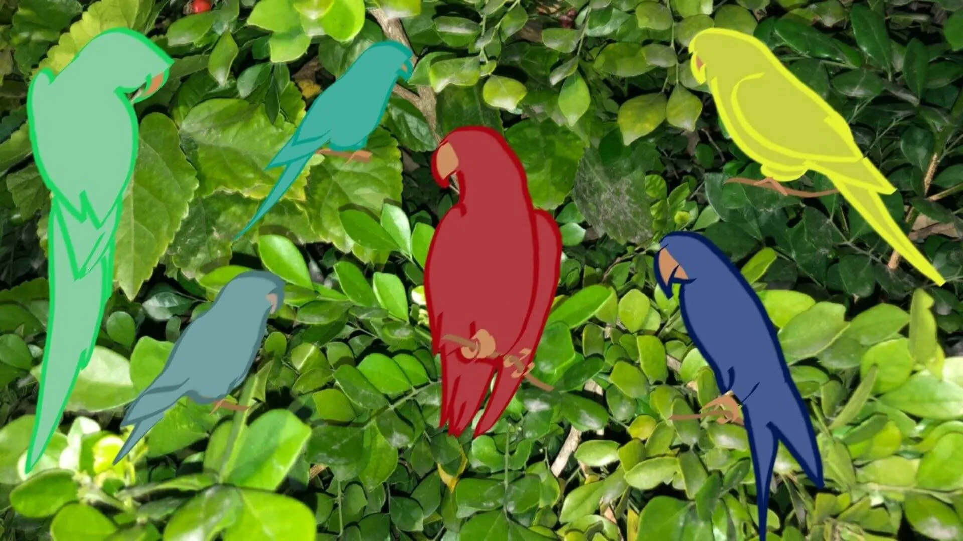 Dibujo de siluetas animadas de 6 loros de distintos colores postrados en una imagen real de un árbol.
