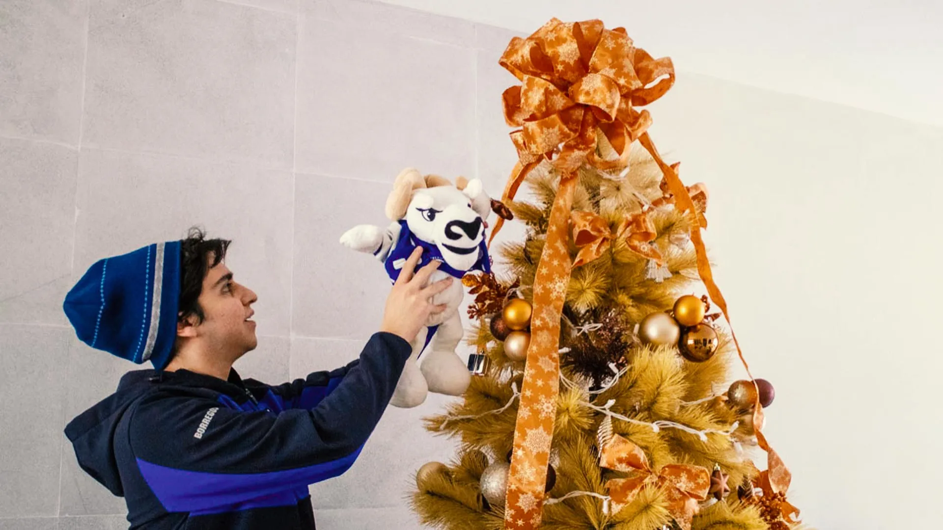 Alumno del Tec campus Toluca colocando peluche de Teus en árbol de Navidad