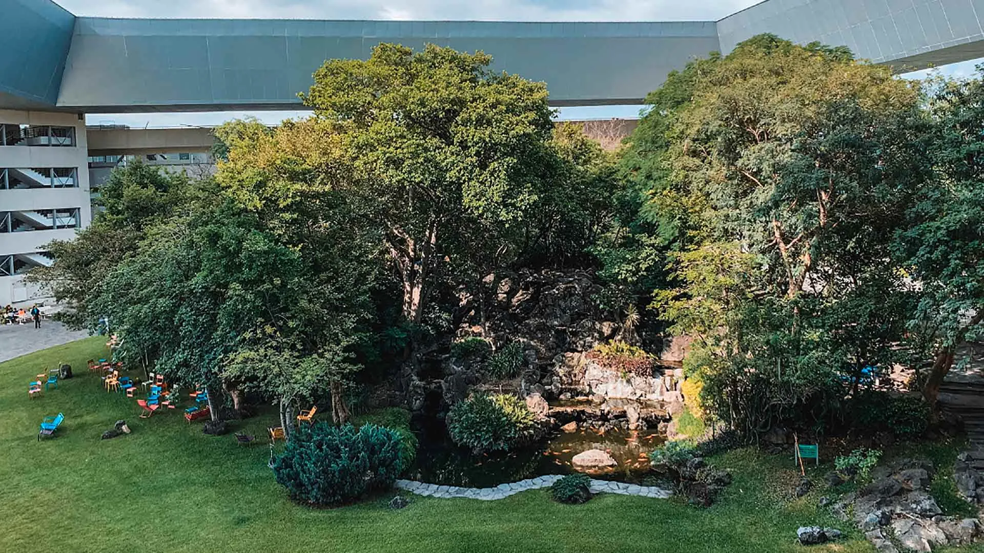 Conoce el Bosque Mágico del Tec campus Cuernavaca en medio del edificio principal