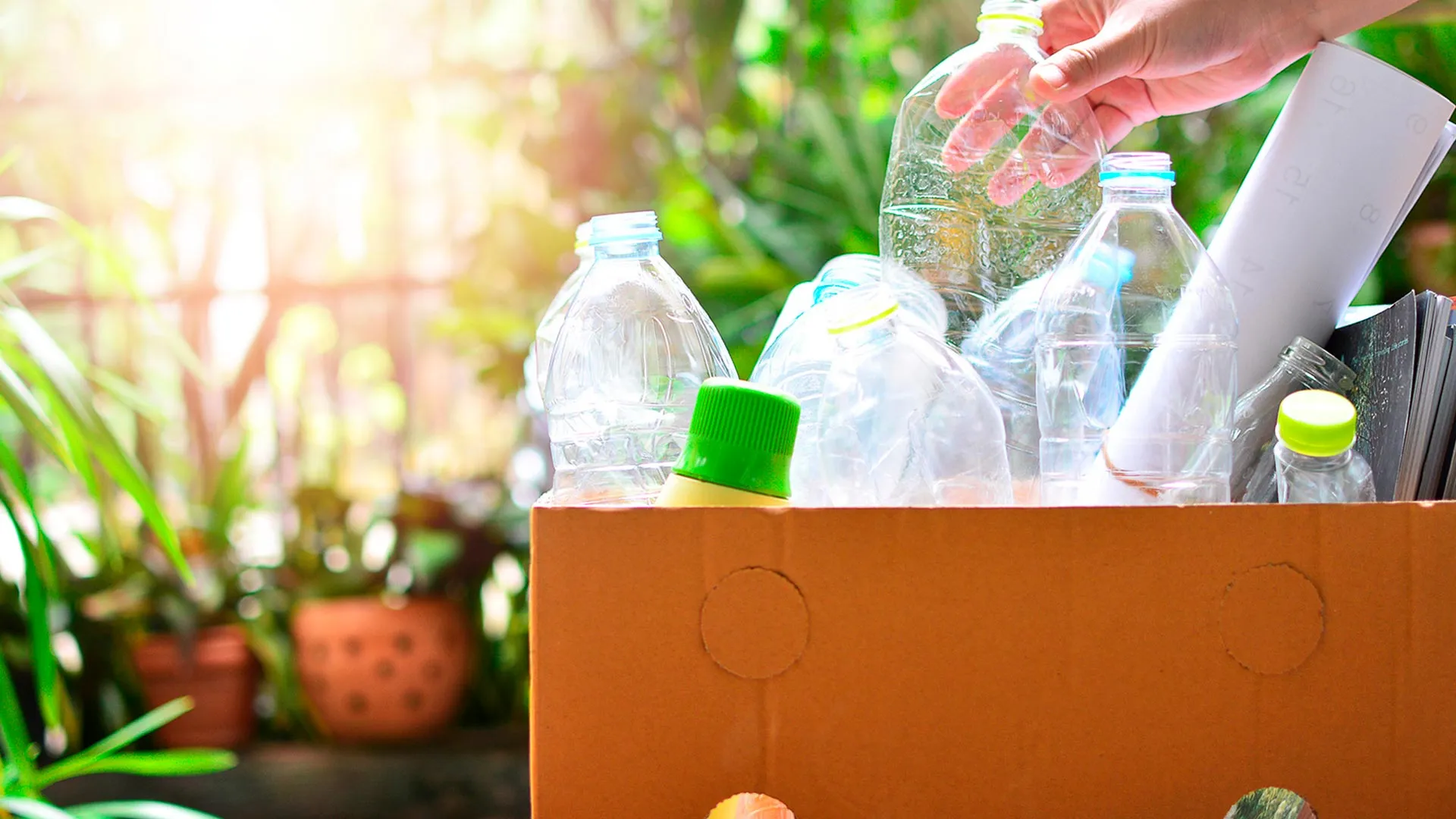 Economía circular, solución para minimizar impacto de plásticos 