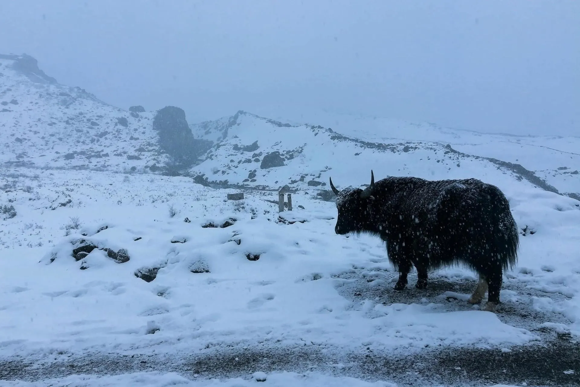 Egresado de Biotecnología del Tec Guadalajara escribe libro tras dar la vuelta al mundo