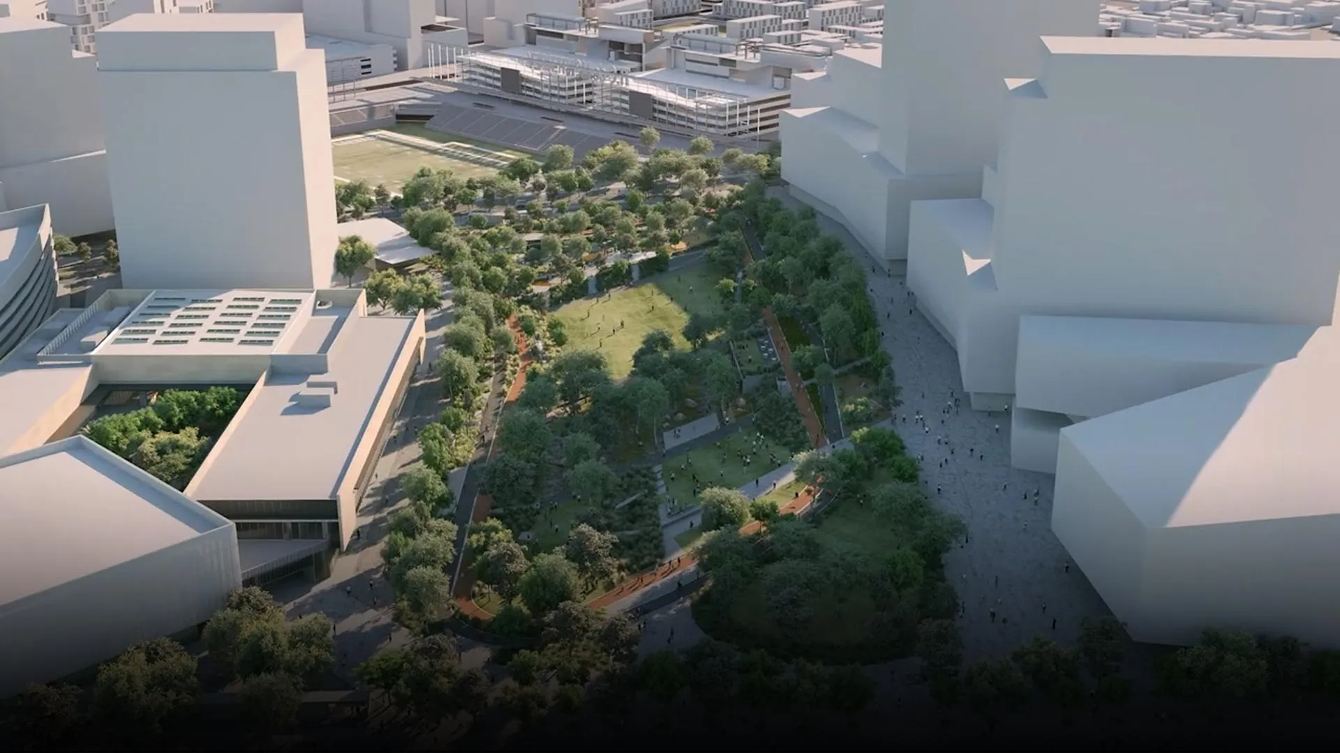 ¿Buscas adoptar un árbol en el Parque Central? ¡Estás a tiempo! 