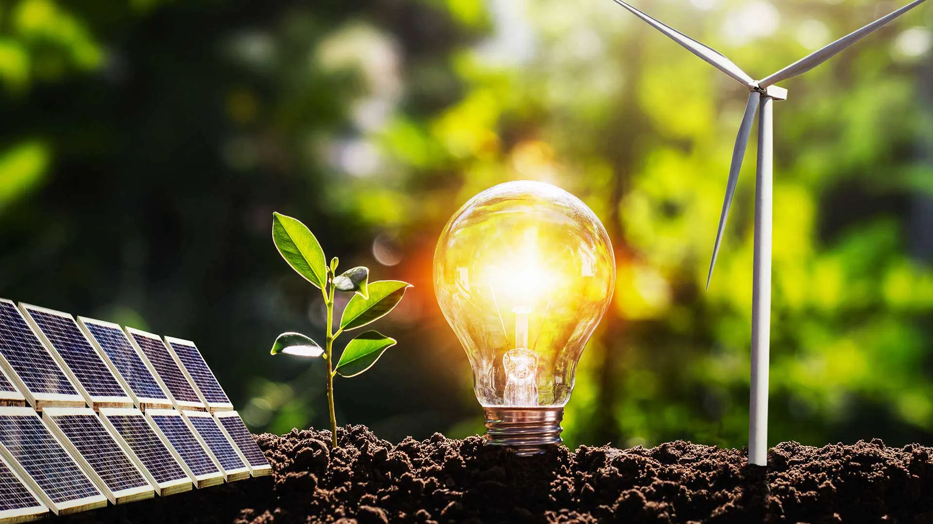 Top Energy, una alternativa en energías renovables