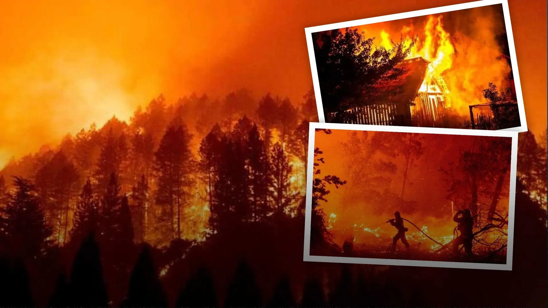 ¿Qué consecuencias tendrá incendio en la sierra? Expertos analizan