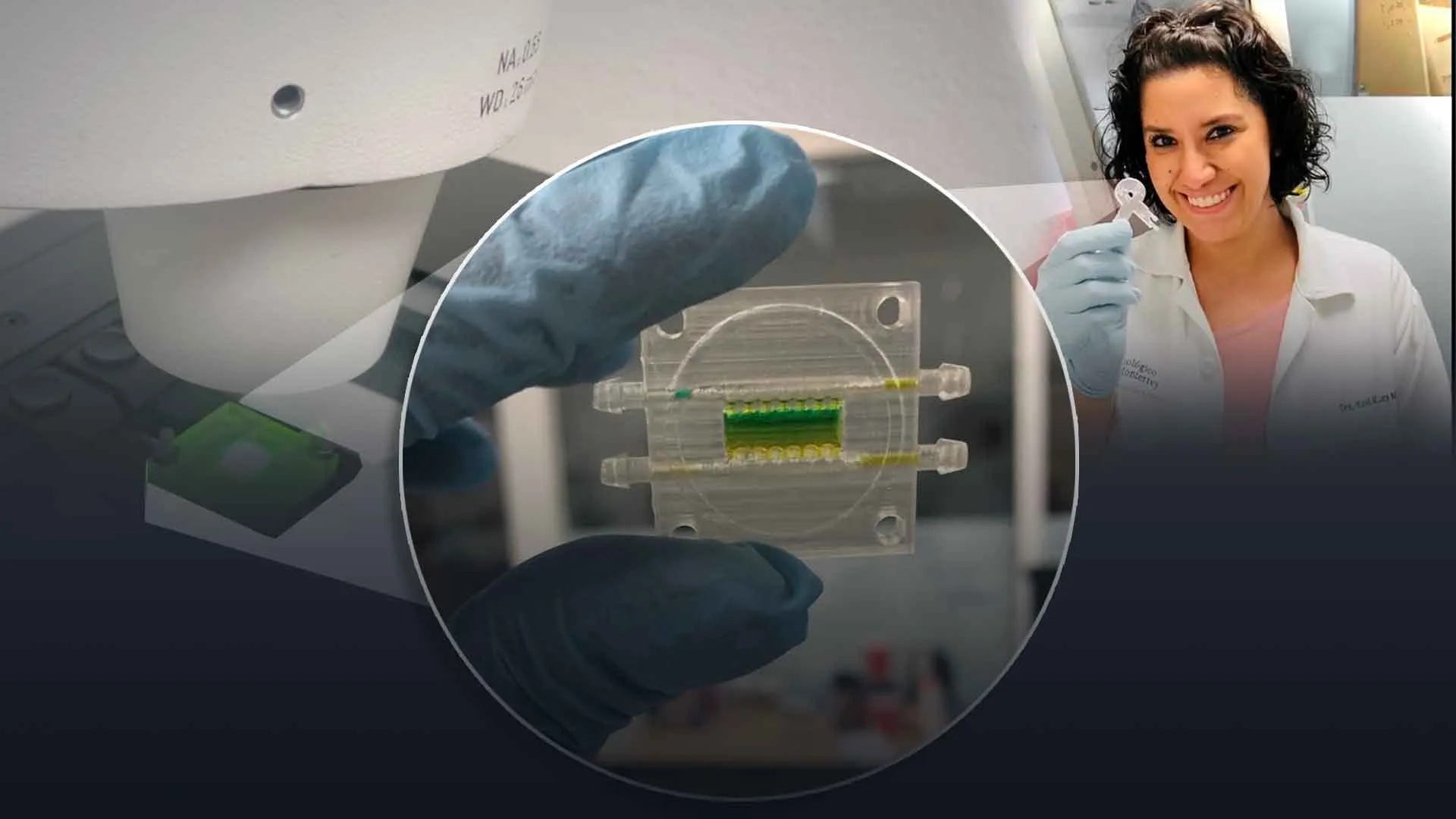 Investigadora Tec reconocida por probar fármacos vs cáncer en chips