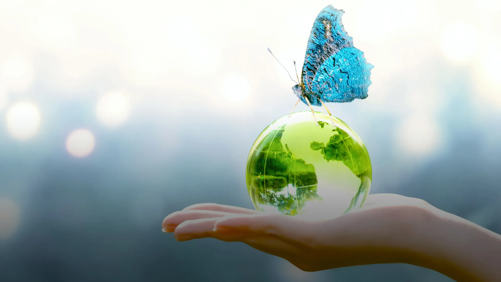 La coexistencia como especies nos llevará a un mundo más interconectado, Donna Haraway