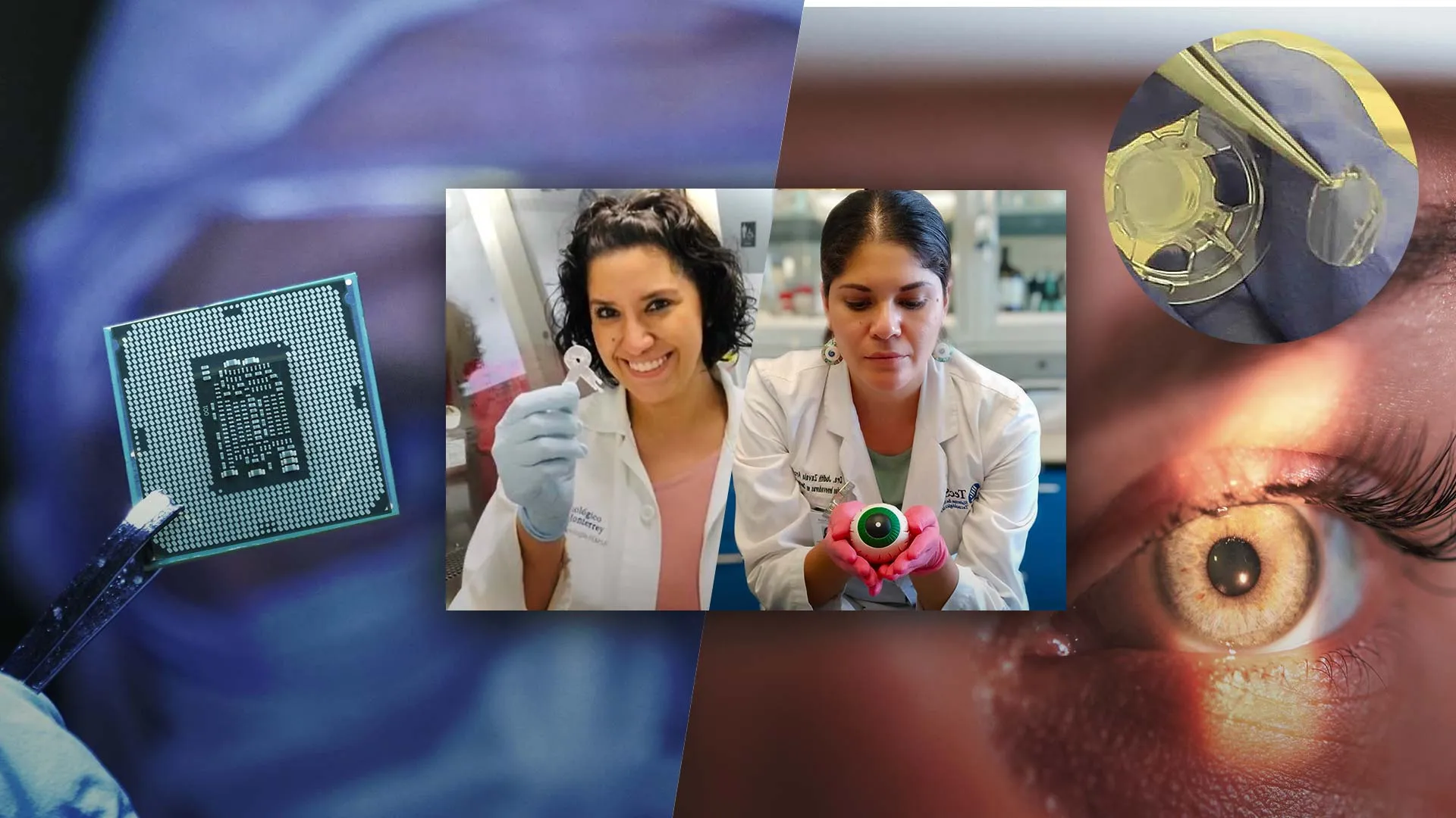 Cientificas del Tec de Monterrey fueron reconocidas en el Top25 de Mujeres científicas en LATAM de 3M