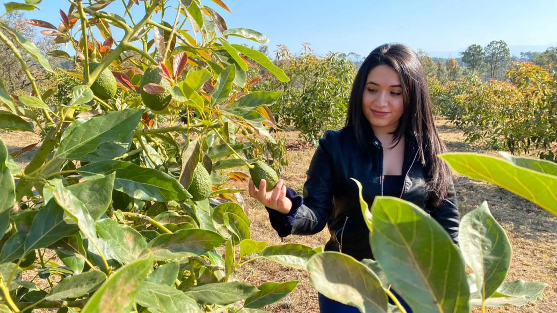 Chance, el proyecto para el campo que triunfó en el Impact Summit 2021