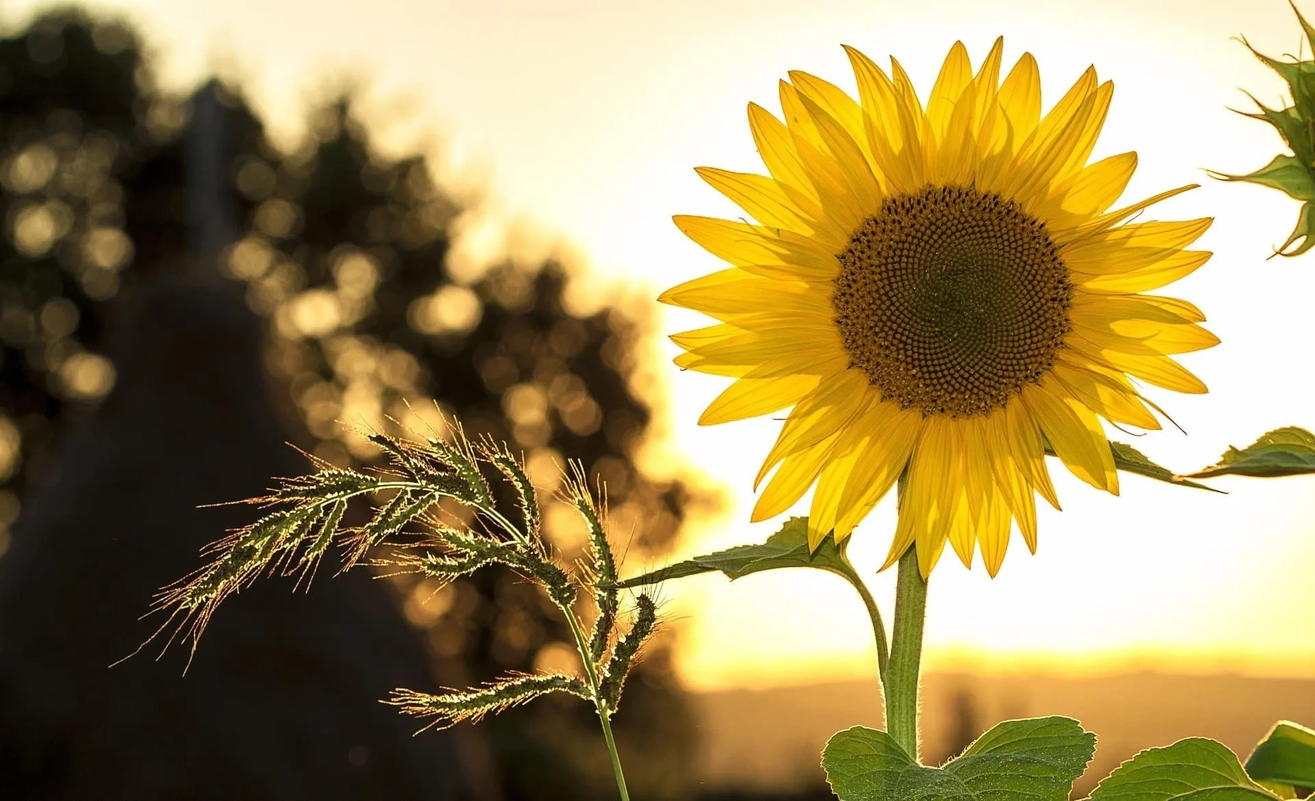 Día de la Tierra: conoce las acciones que implementa el Tec Guadalajara para cuidar el medio ambiente