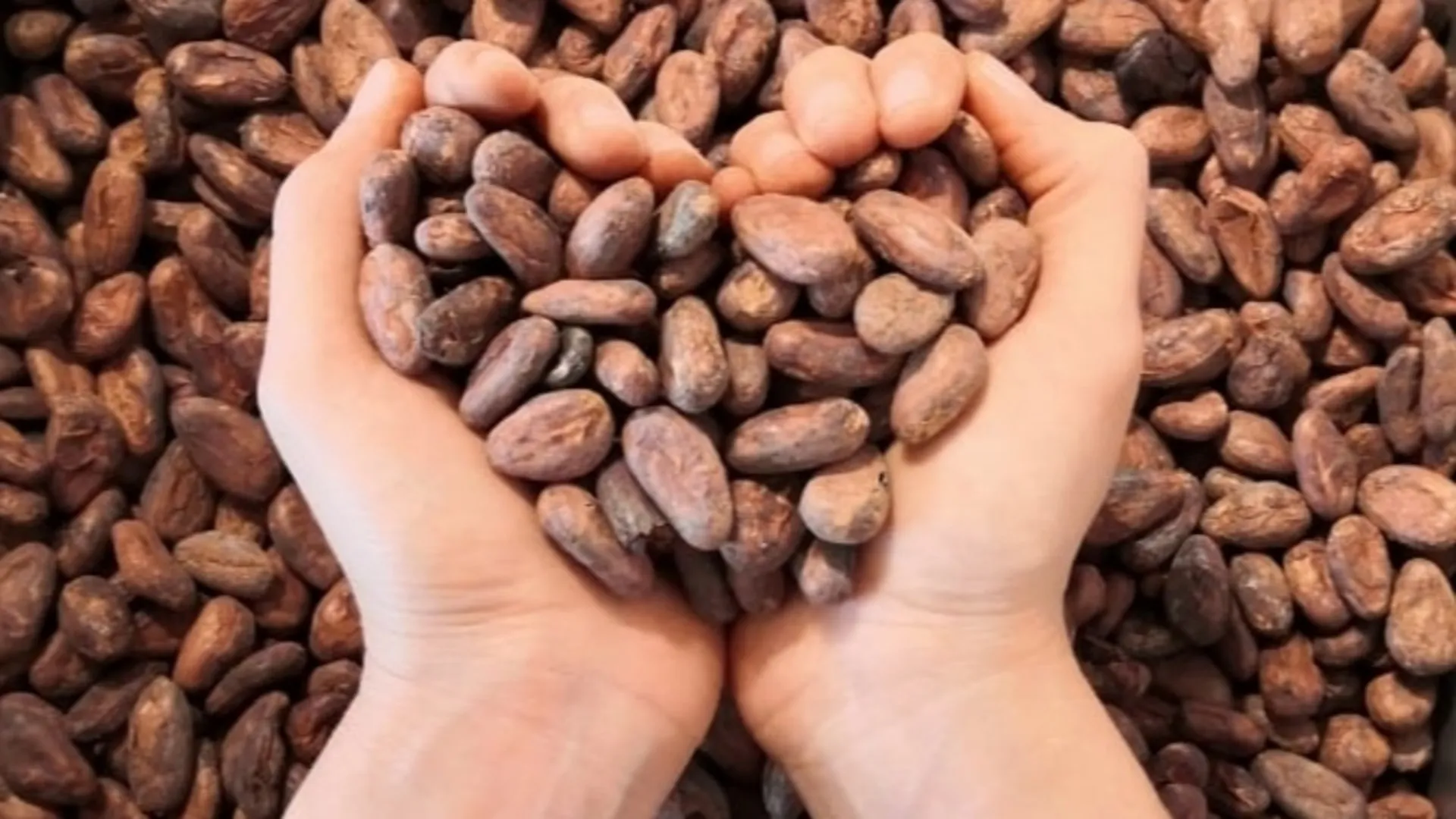 Su perseverancia lo llevó a a alcanzar un lugar a nivel internacional.