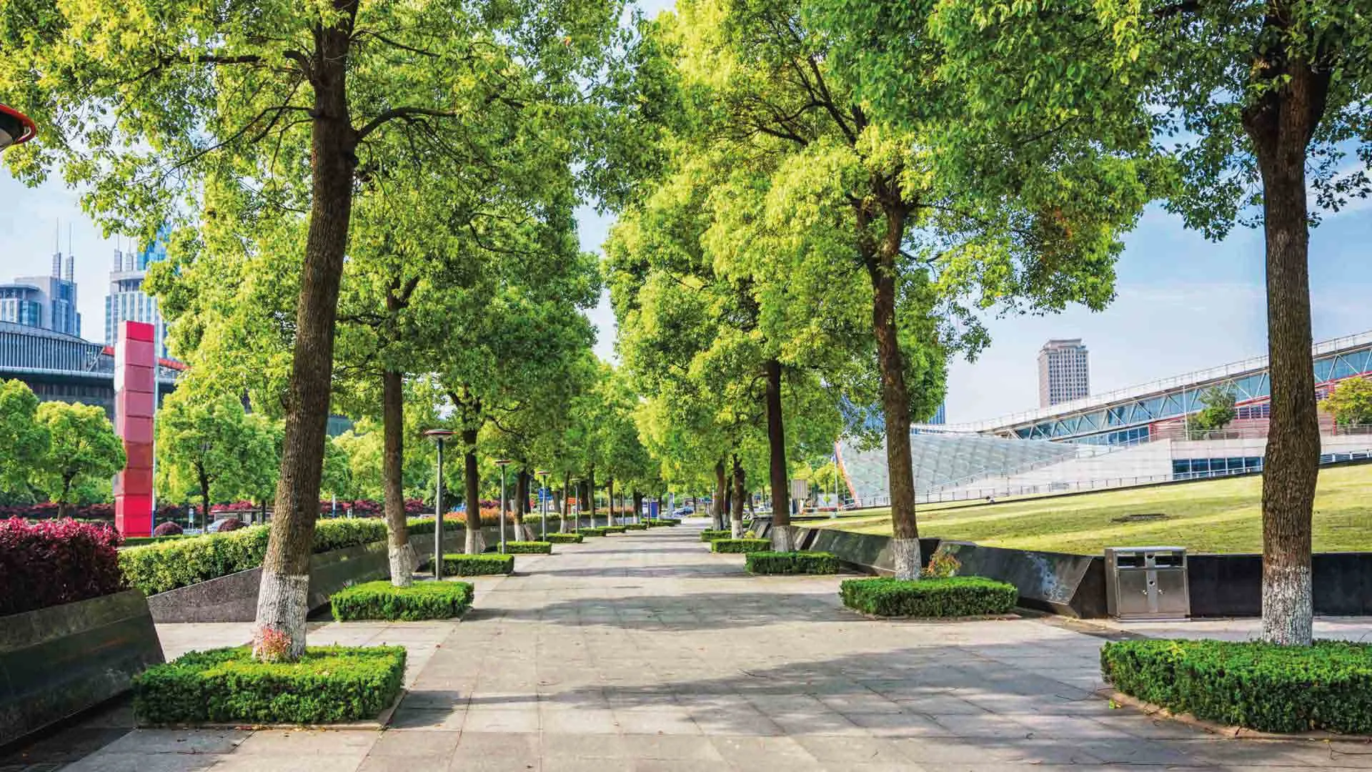 Oasis urbanos son un espacio verde sustentable en la ciudad