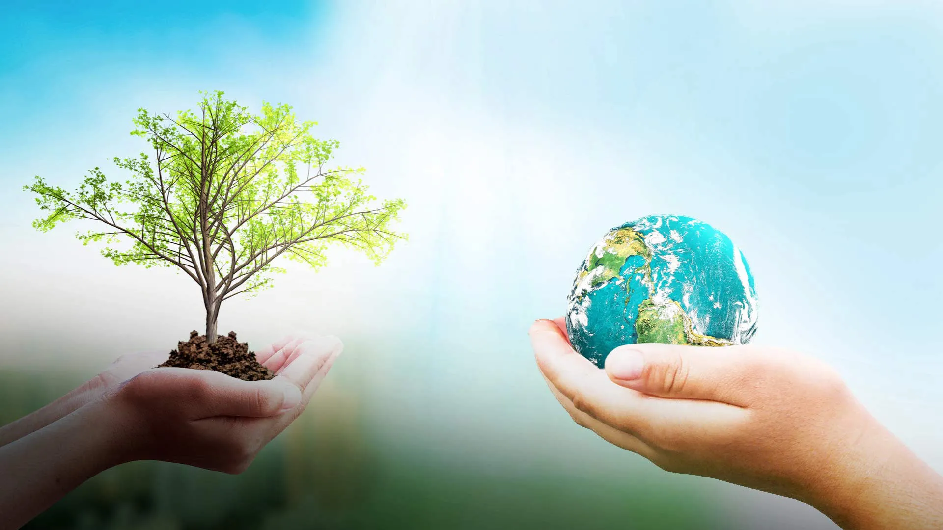 Tec de Monterrey presenta su plan de sostenibilidad y cambio climático