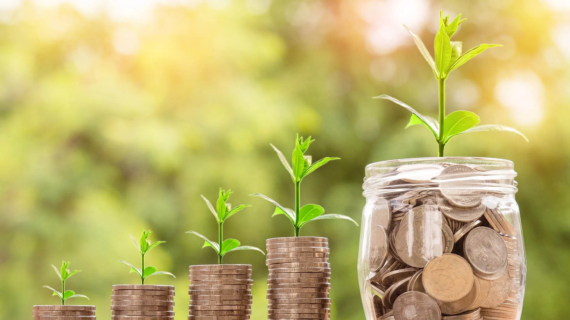 cinco tips para emprender un negocio consciente