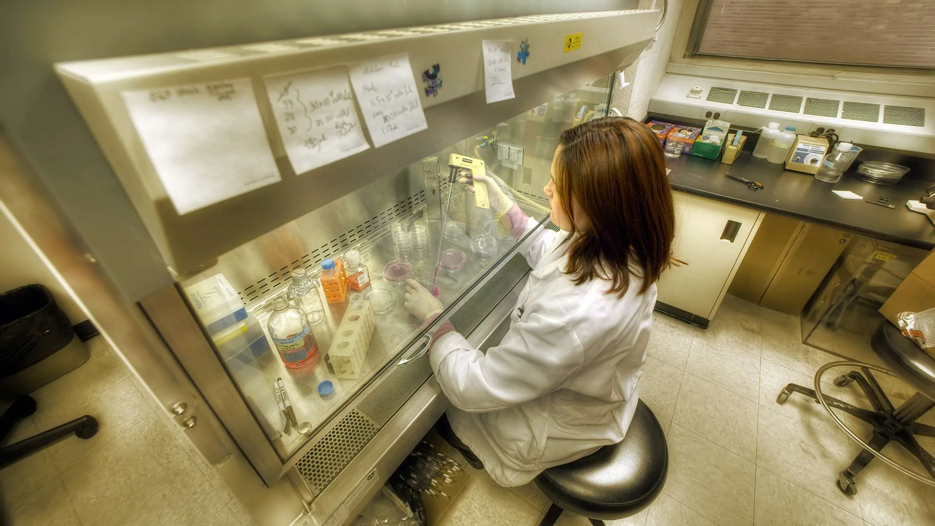 Los doctorados del Tec de Monterrey tienen una vocación científica