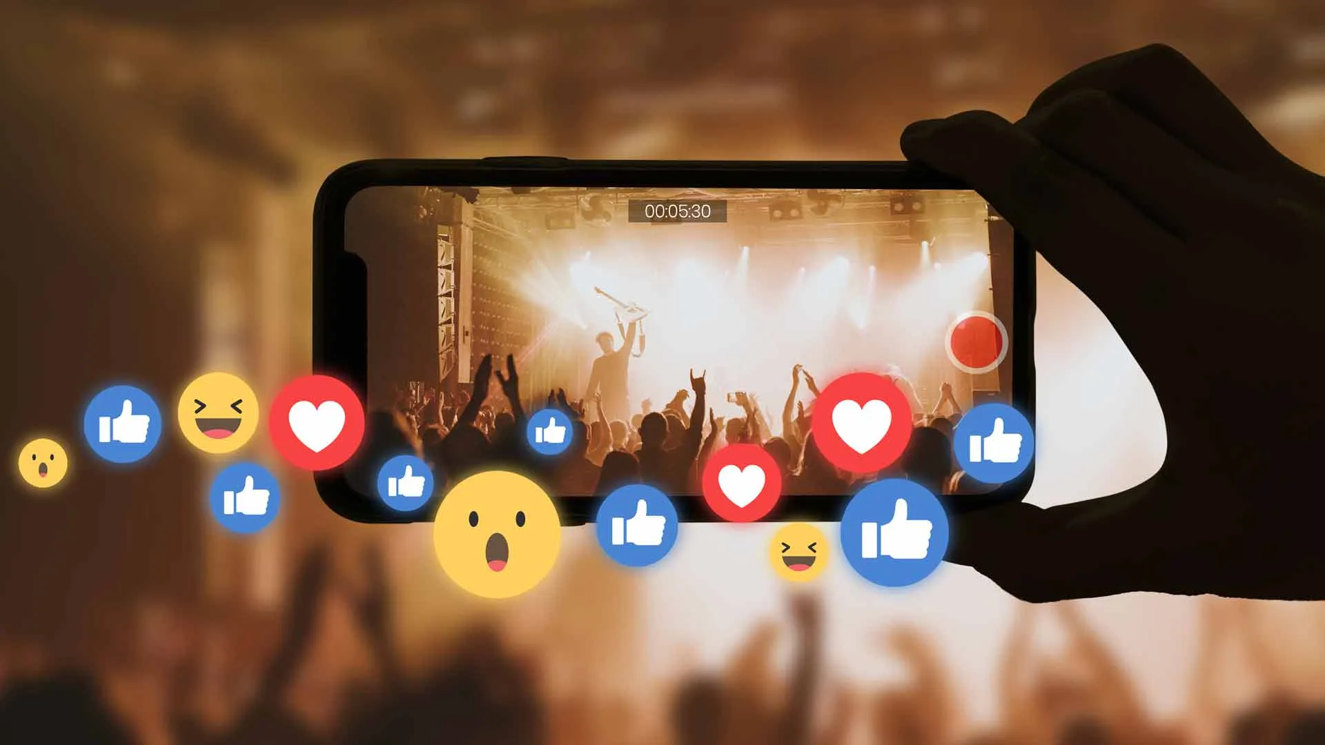 El concierto de arte y cultura