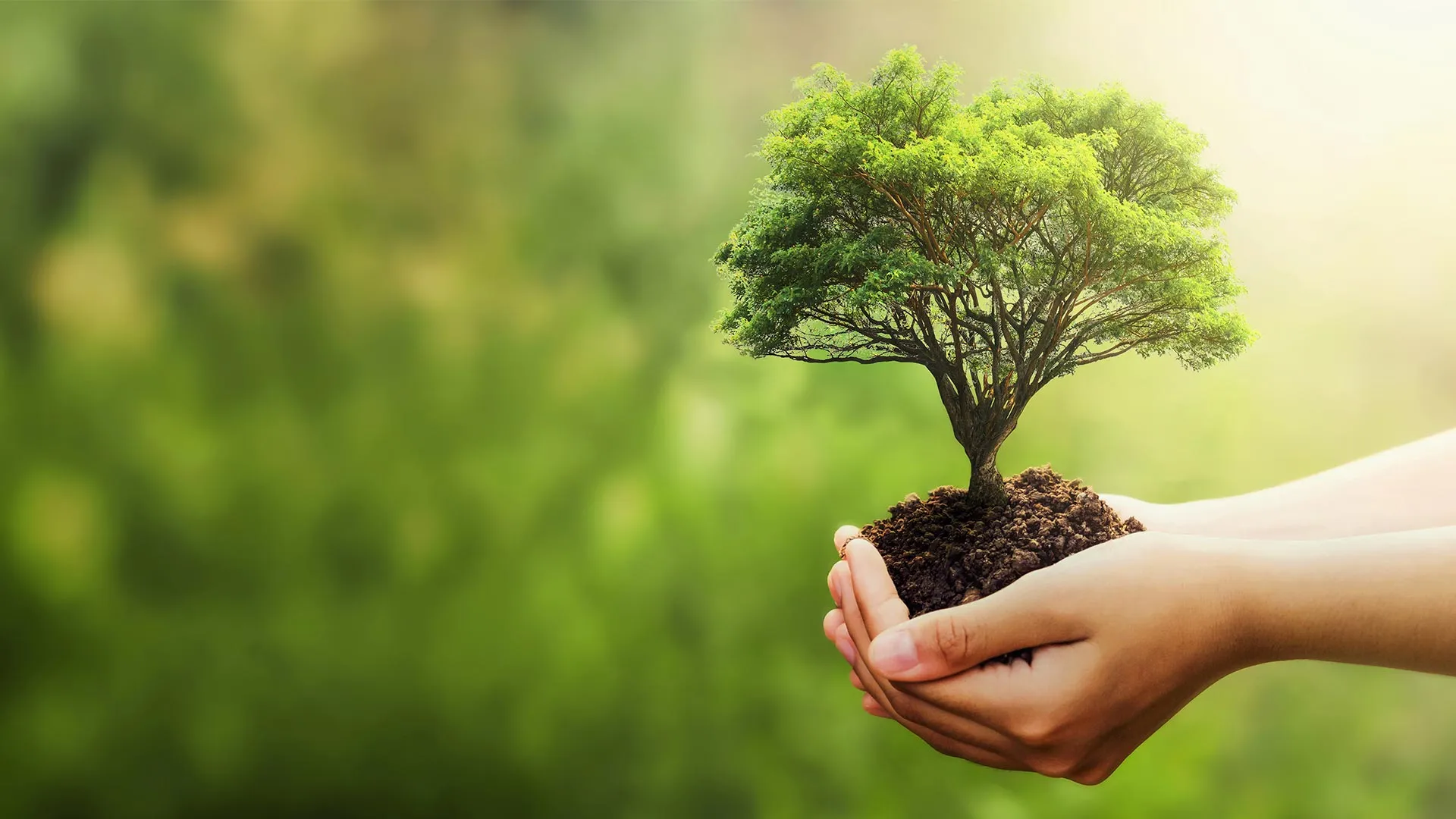 feria de la sustentabilidad de PrepaTec Navojoa