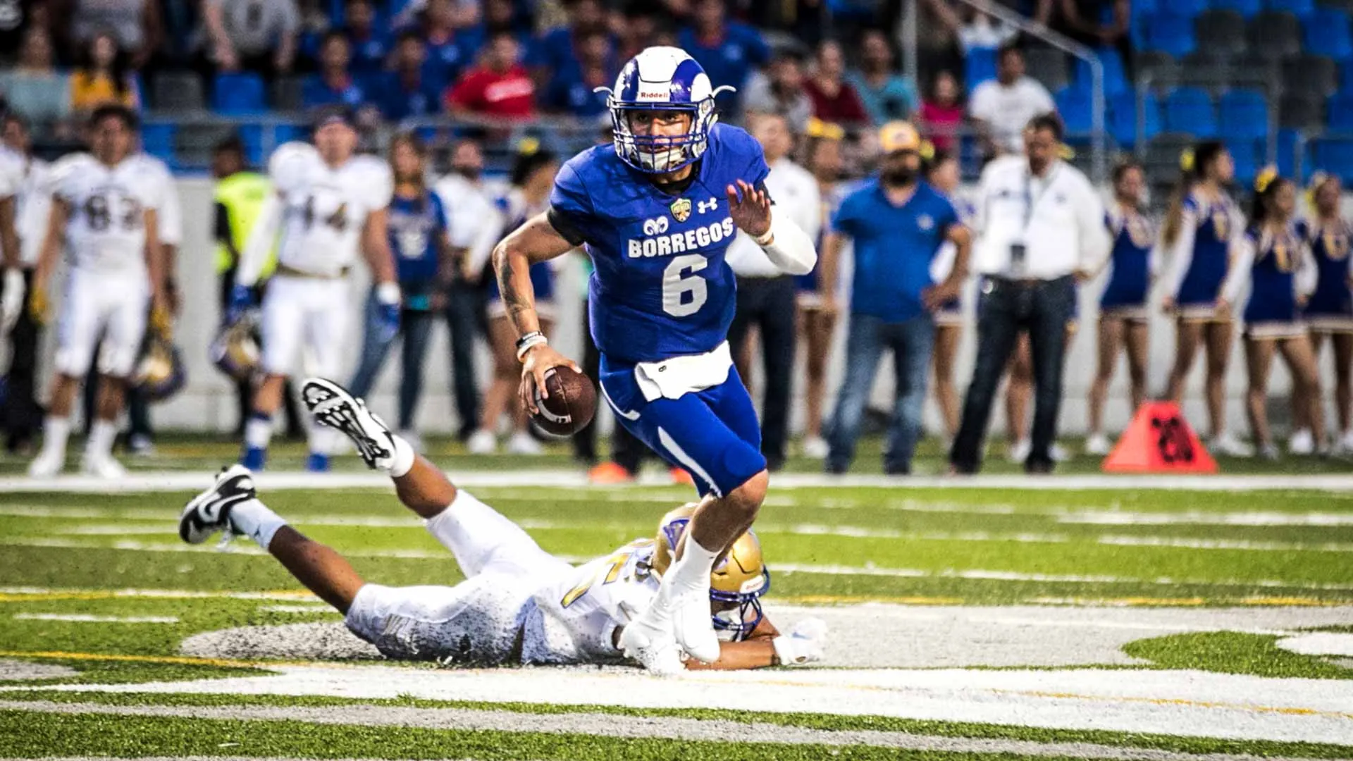 Regresan equipos Borregos del Tec a jugar en la ONEFA en temporada 2021