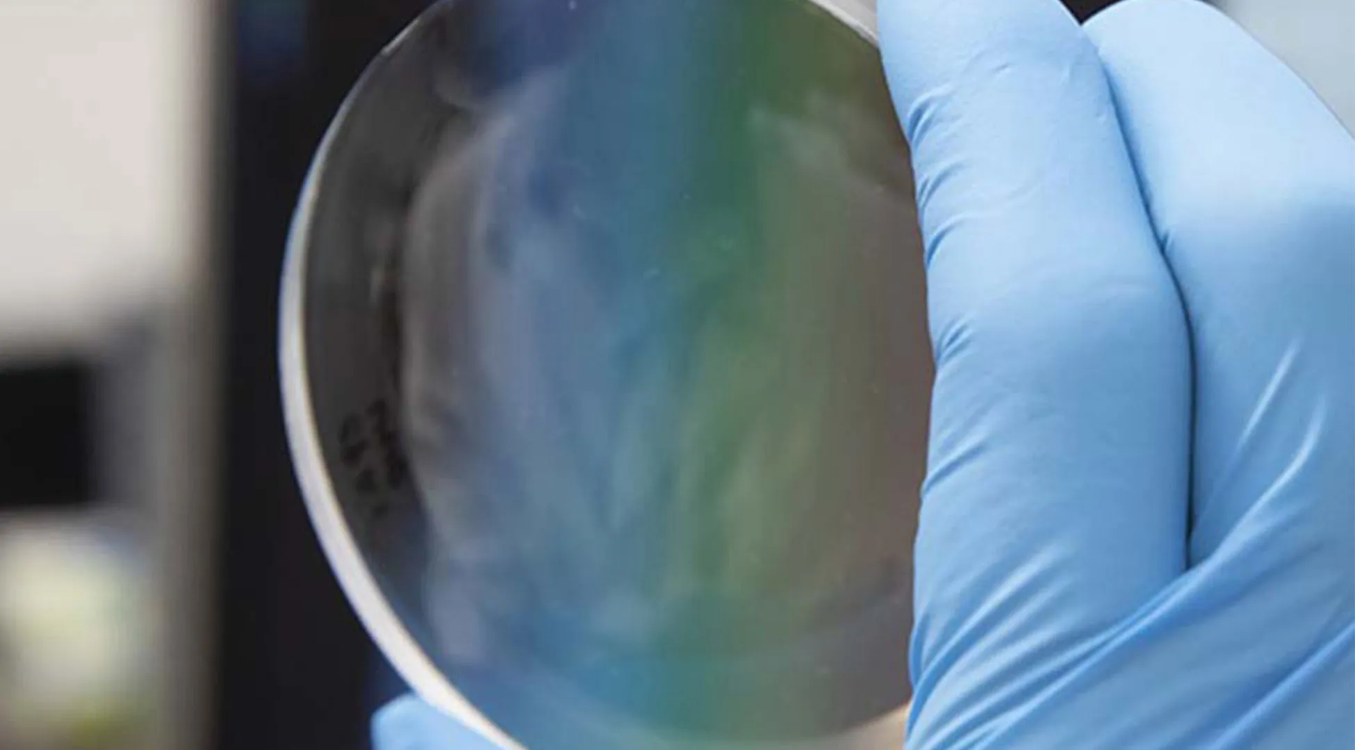 Empresa de lentes ópticos implementará sistema  de alumno del Tec