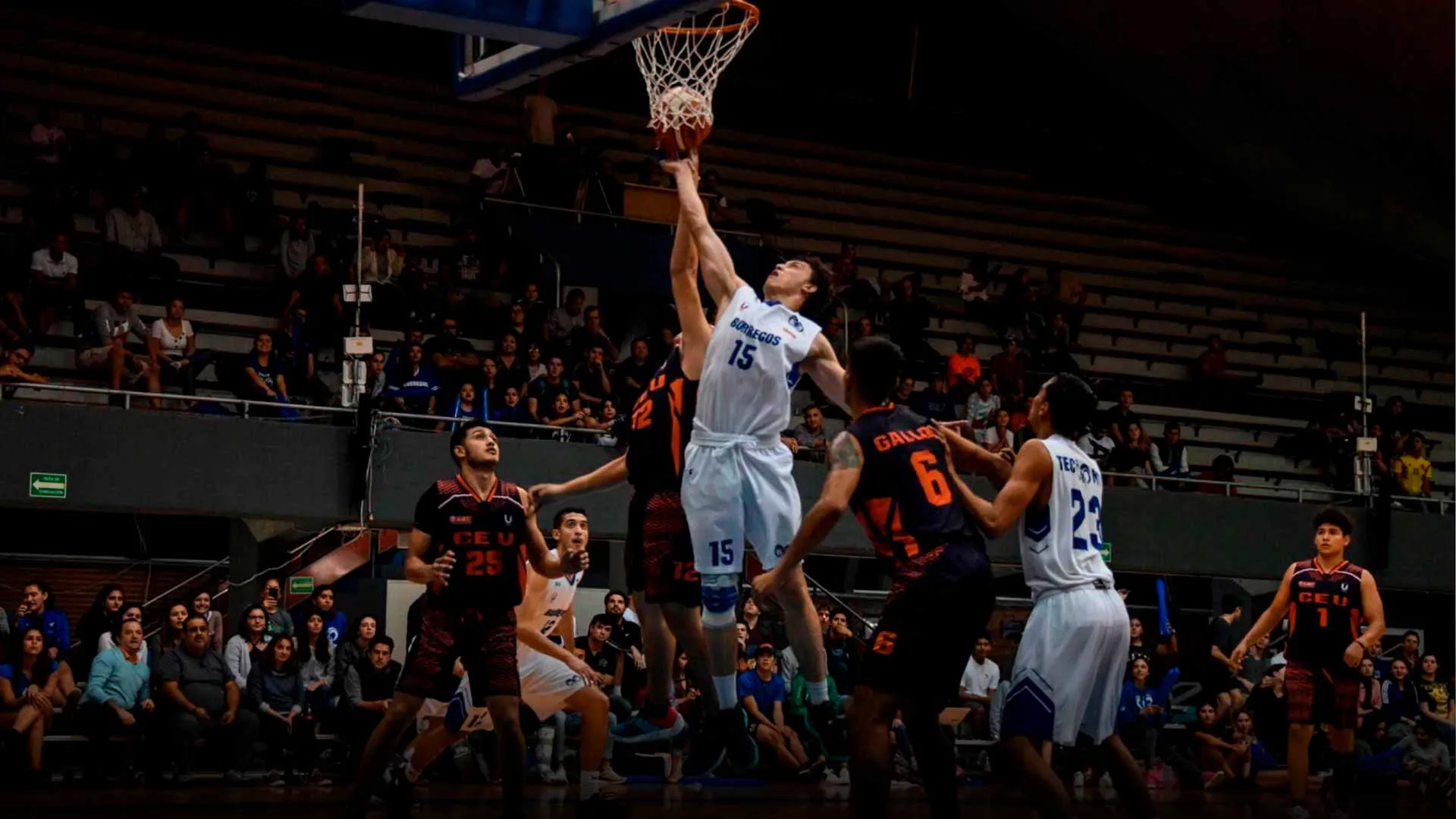 Logra su máximo enceste: graduarse con éxito del Tec