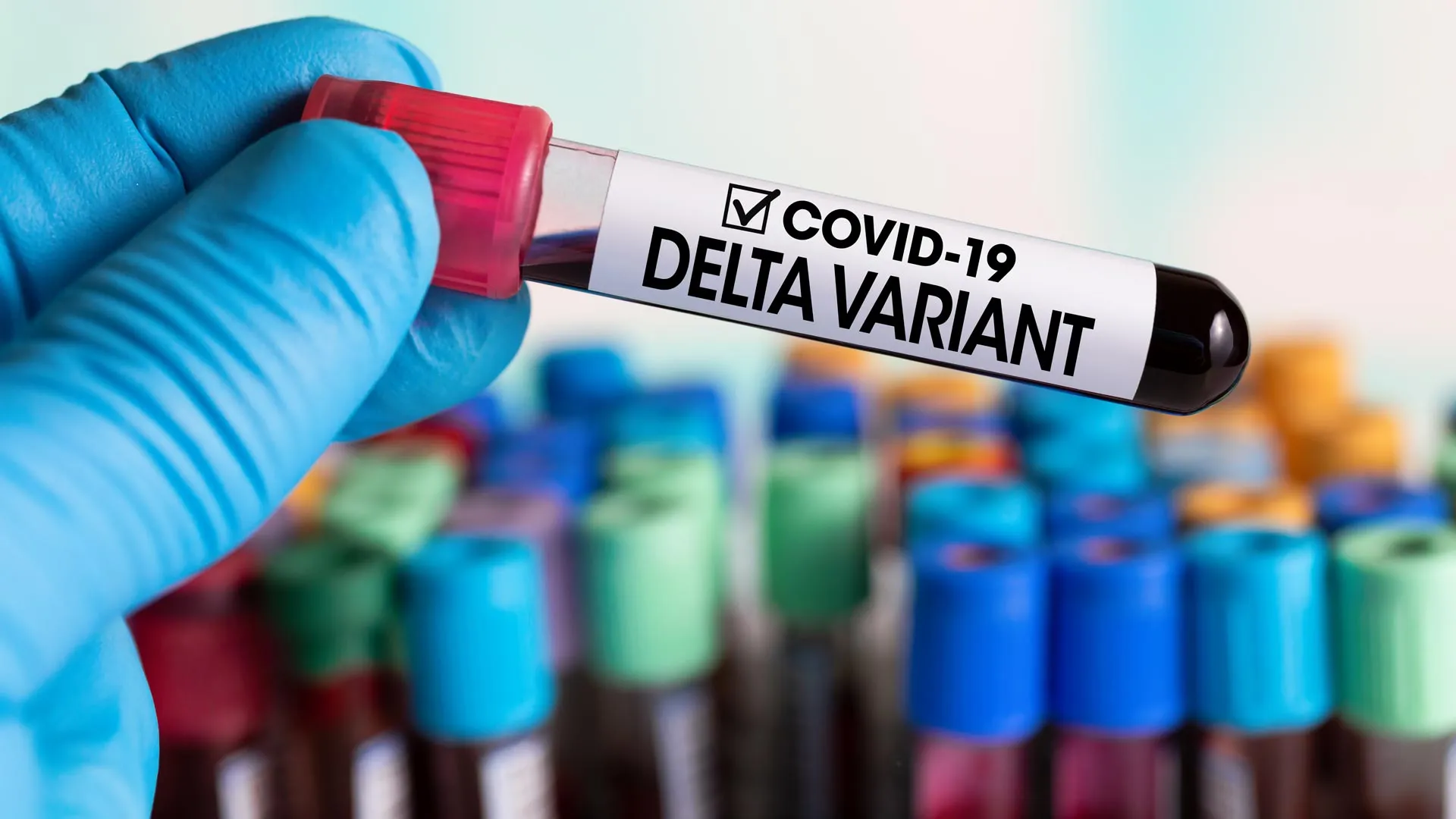 Preguntas y respuestas de las variantes Delta y Delta plus