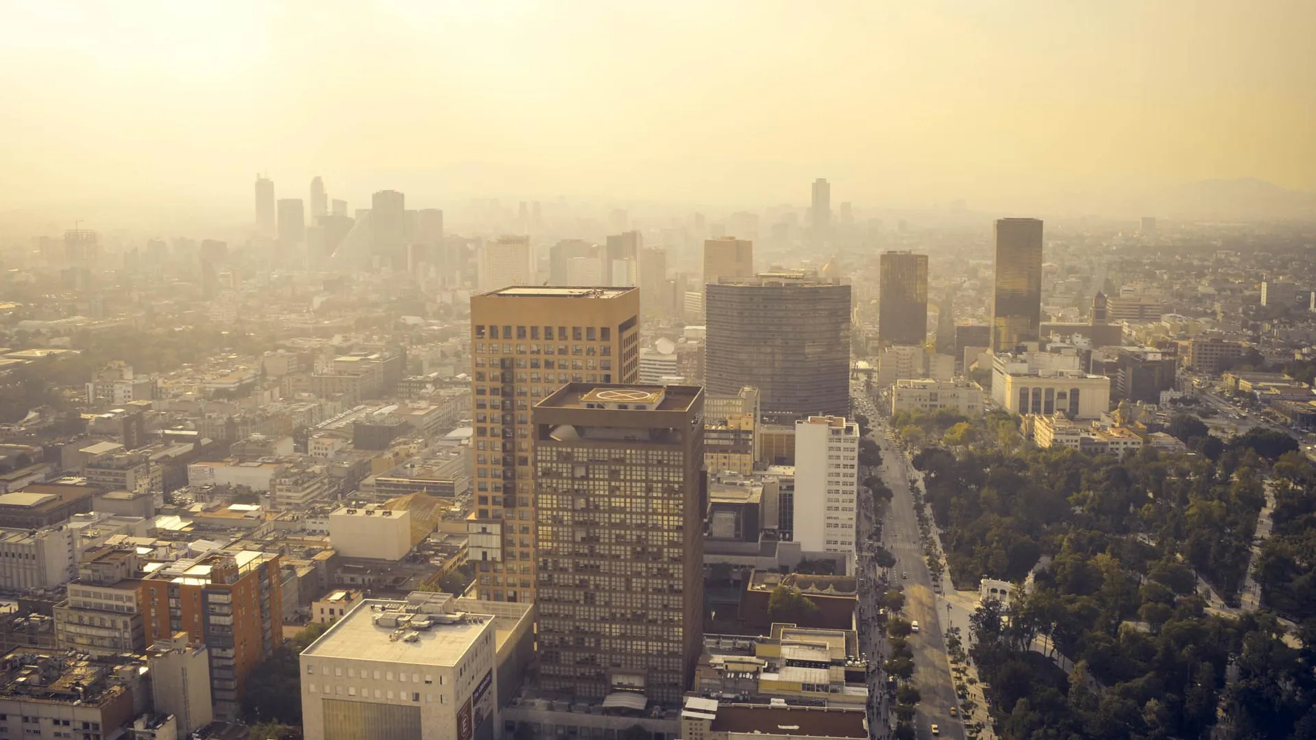 Especialistas del Tec de Monterrey analizan cuáles son los principales problemas de las grandes ciudades