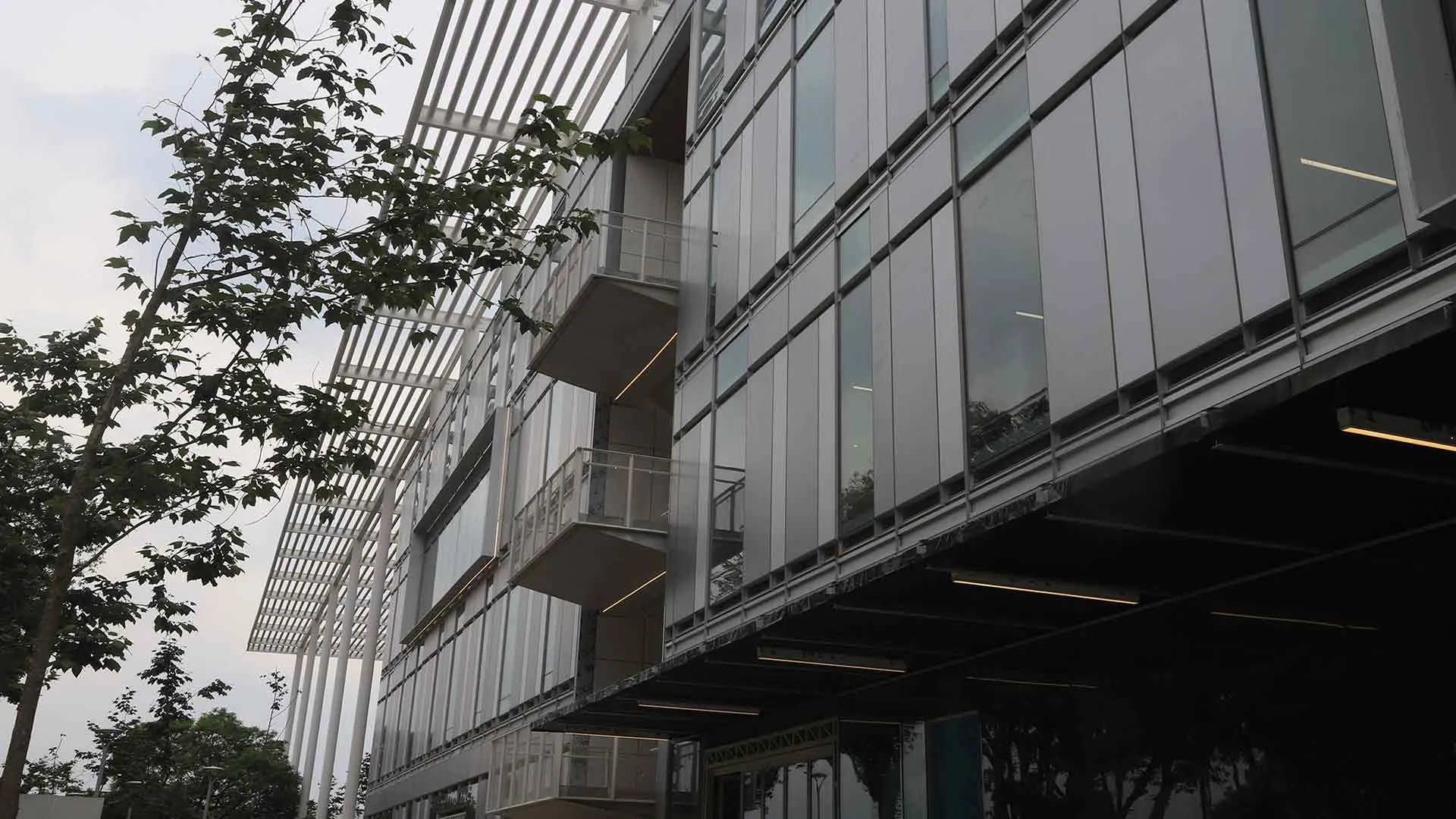 biblioteca campus cdmx