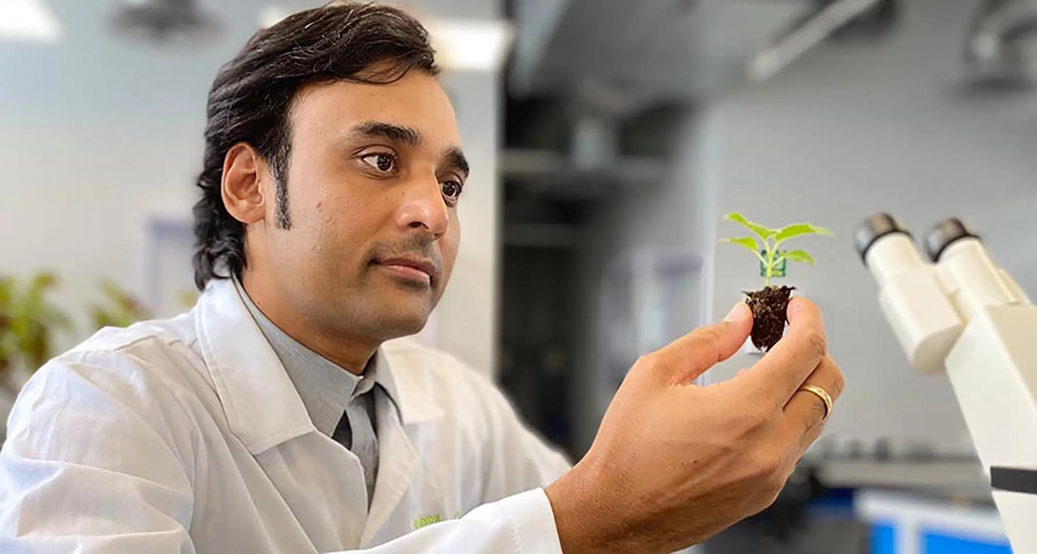 El proyecto es liderado por el profesor investigador del Tec campus Querétaro Ashutosh Sharma junto con la empresa Materra Forestal de Querétaro.