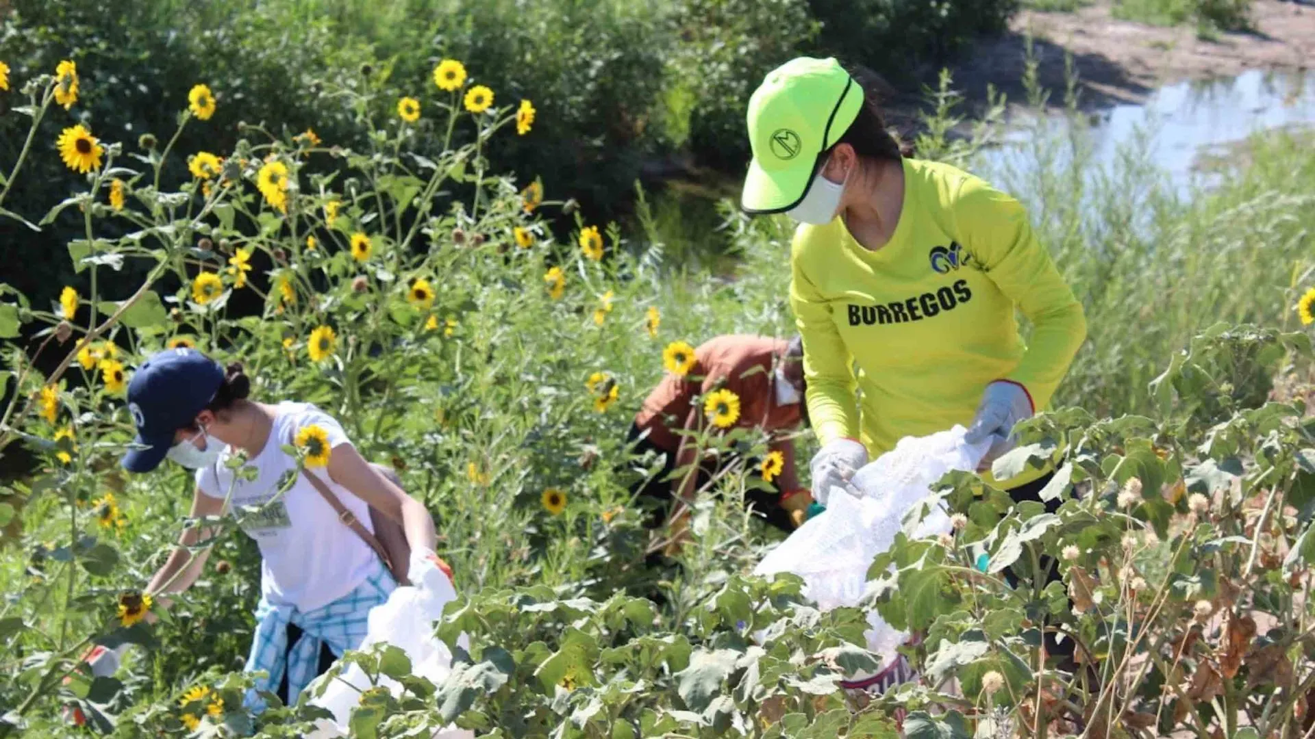 Los alumnos del grupo de robótica recolectando basura.