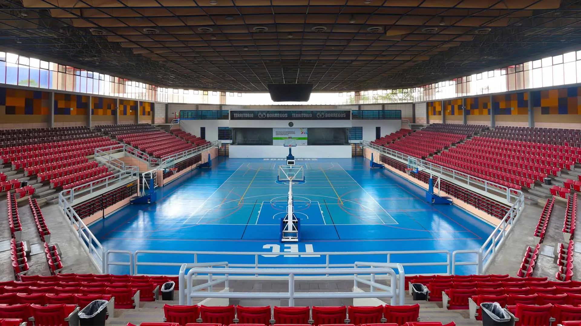 Tec Estado de México y sus espacios deportivos de alto nivel 