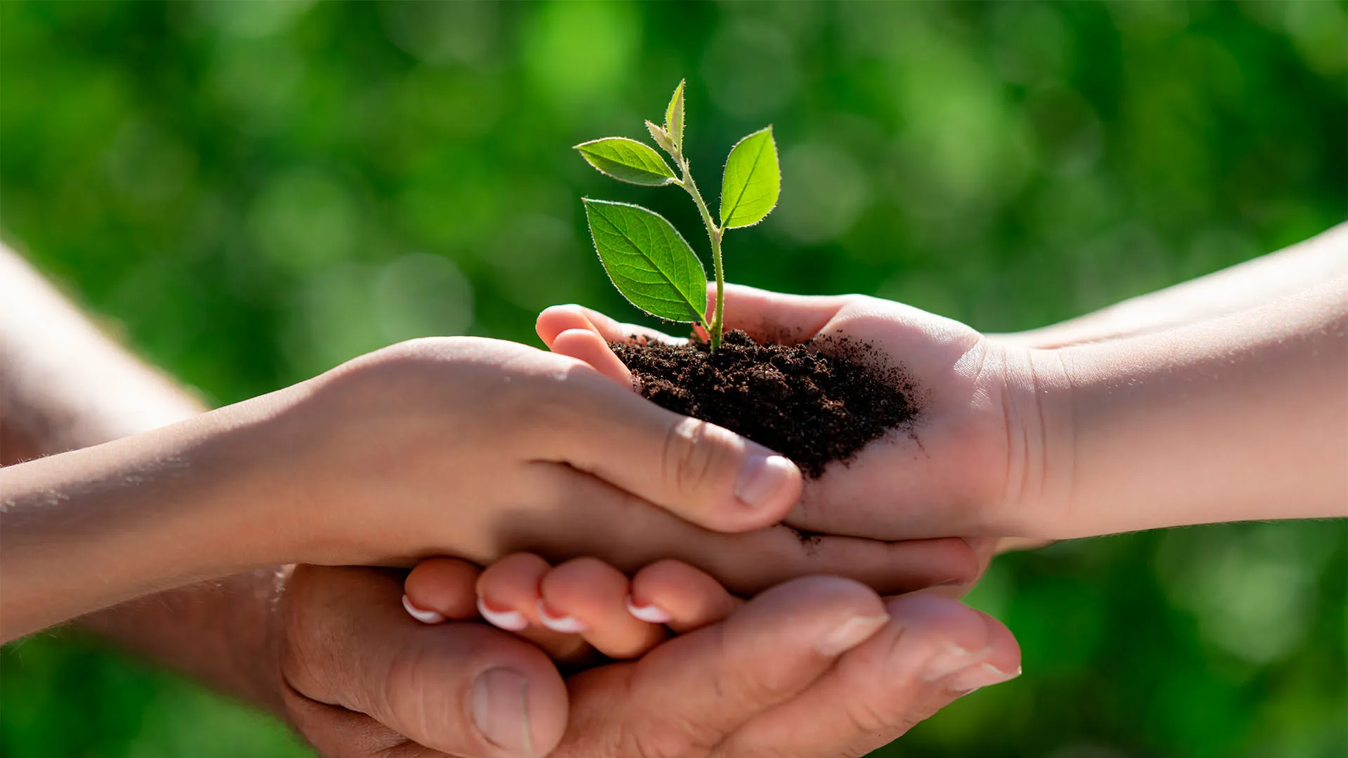 Activista climática mexicana y profesora Tec es premiada por su labor