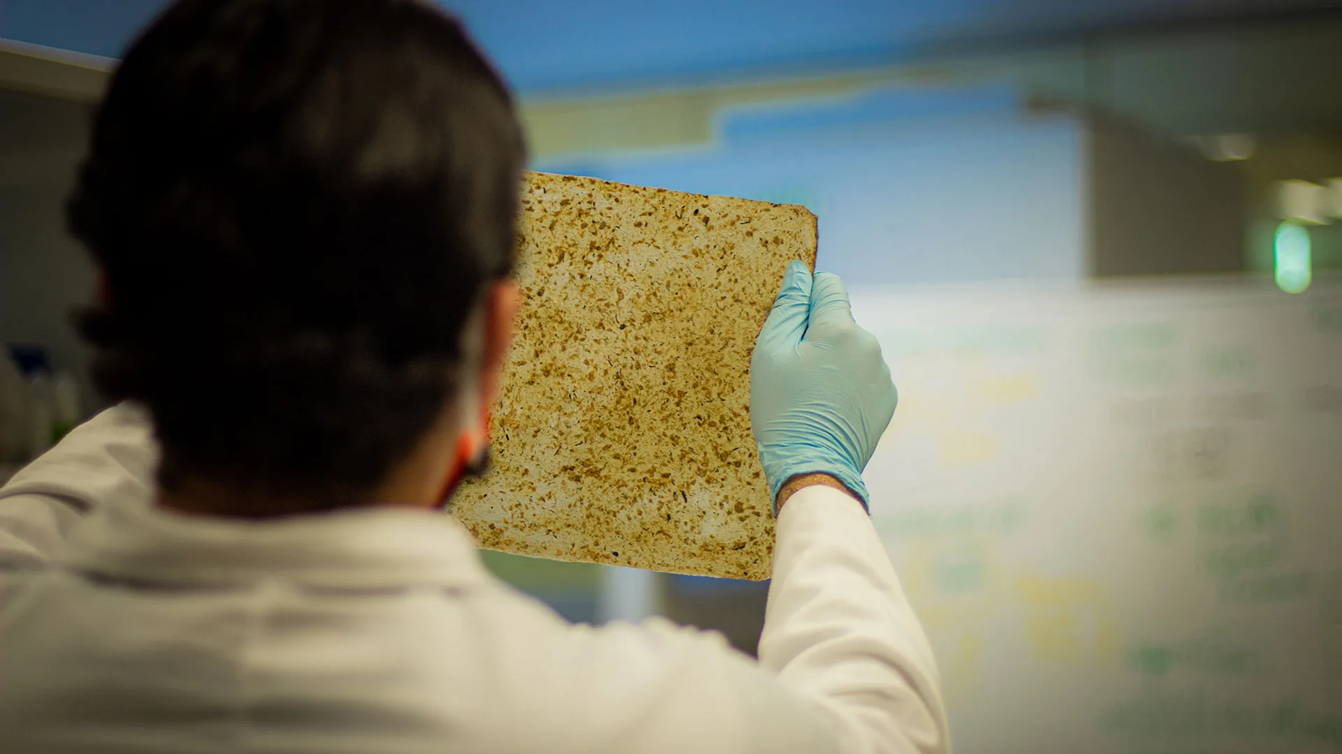 Estudiantes Tec crean plástico biodegradable de piña