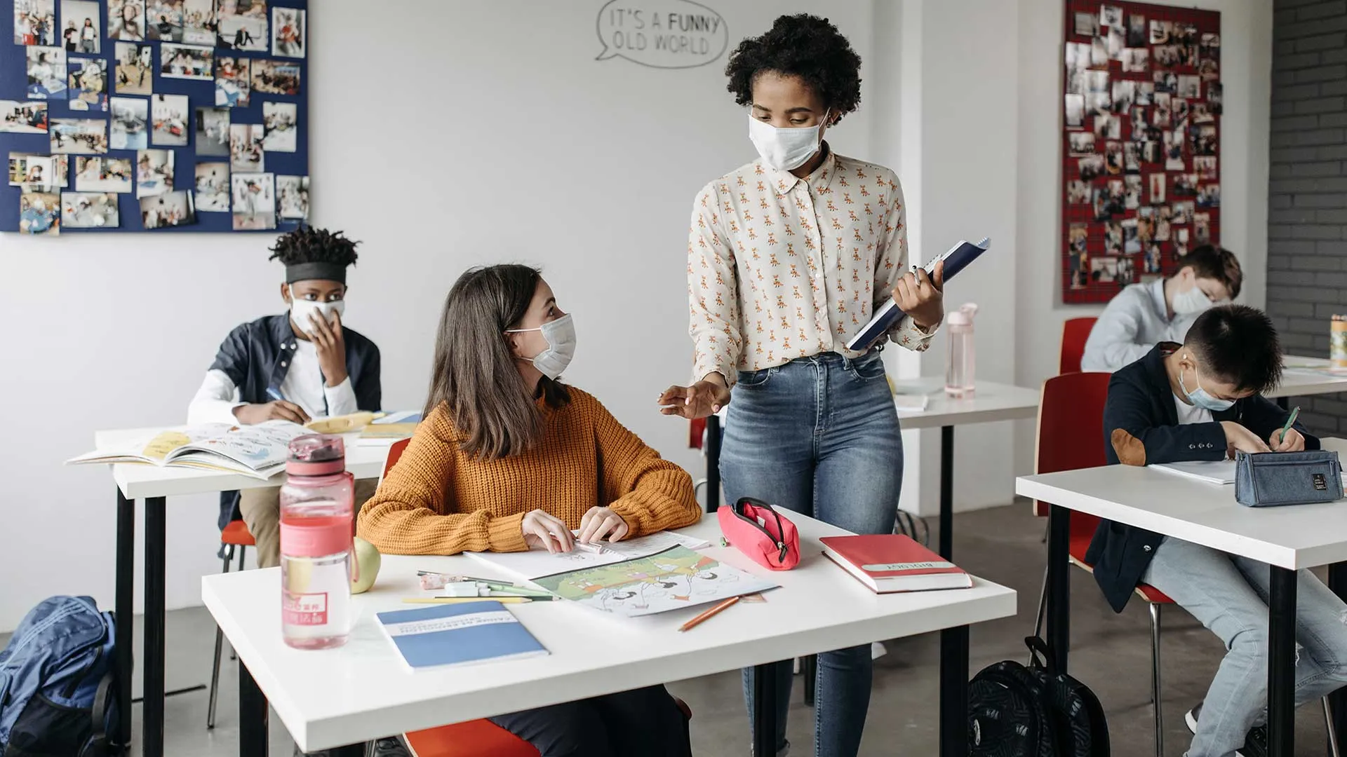 enseñanza de matemáticas y ciencia