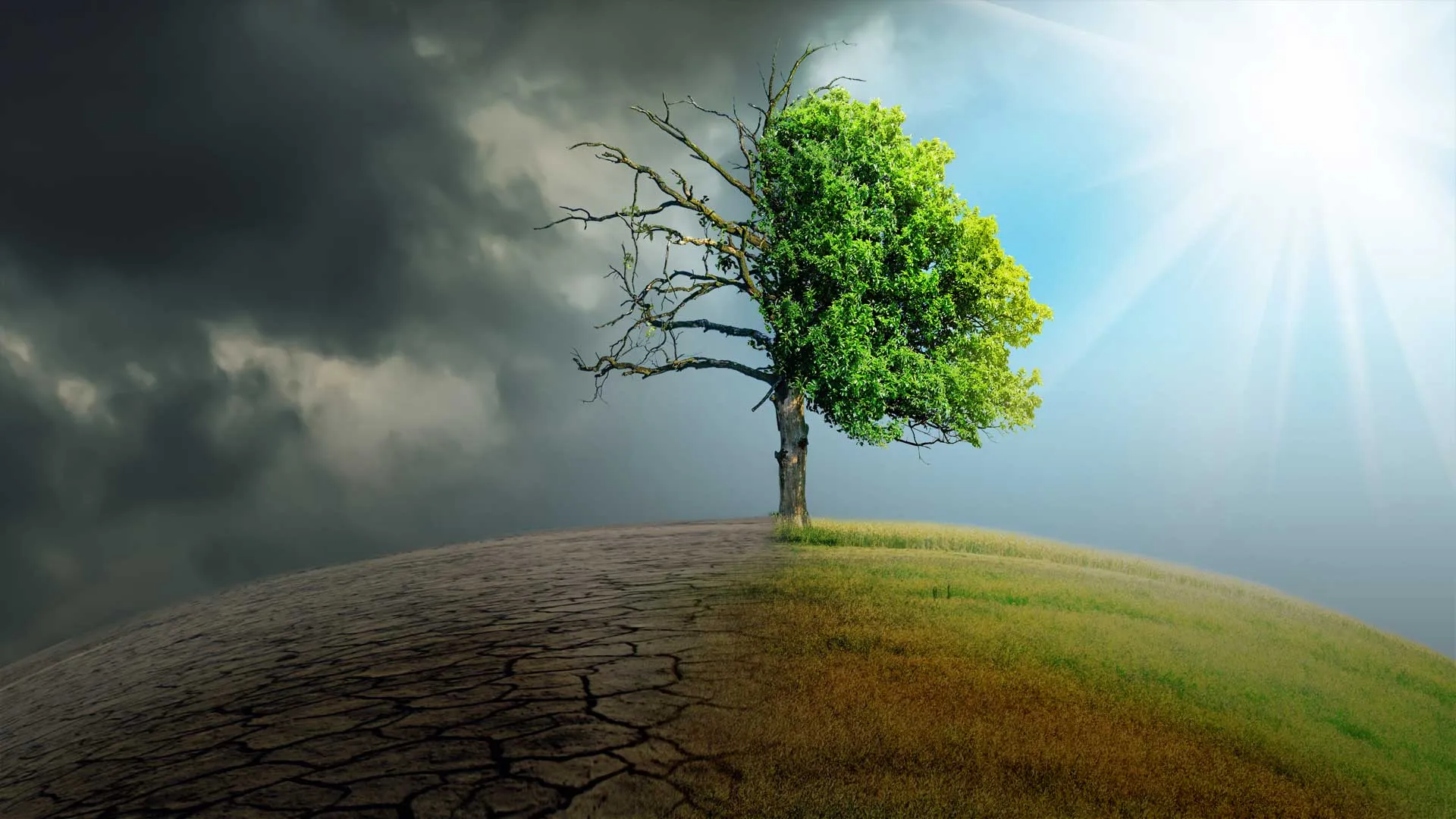 Acuerdos de Glasgow, obligatorios para los gobiernos (opinión experta)