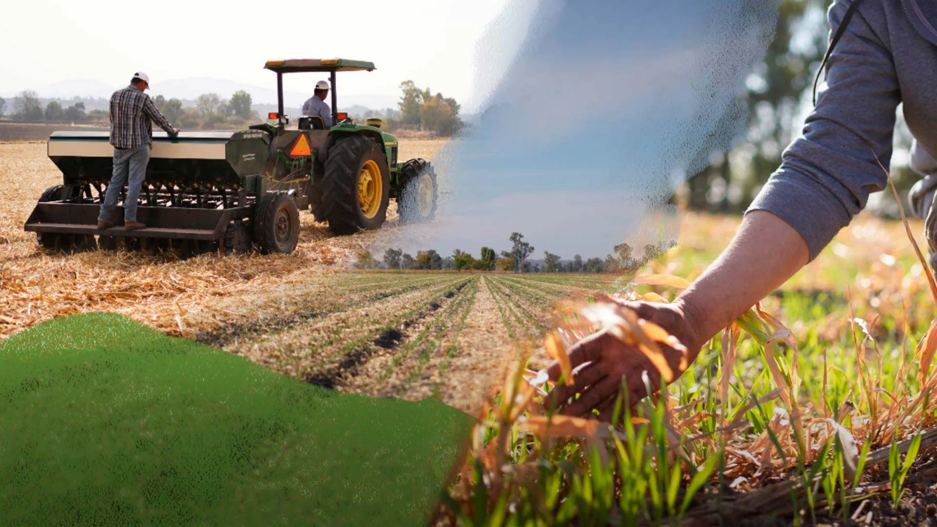 La cuarta edición del Heineken Green Challenge se enfocó en agricultura sustentable.
