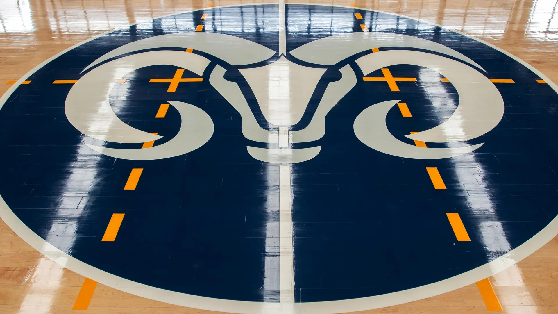 Logo de Borregos al interior de Arena Borregos, Campus Hidalgo