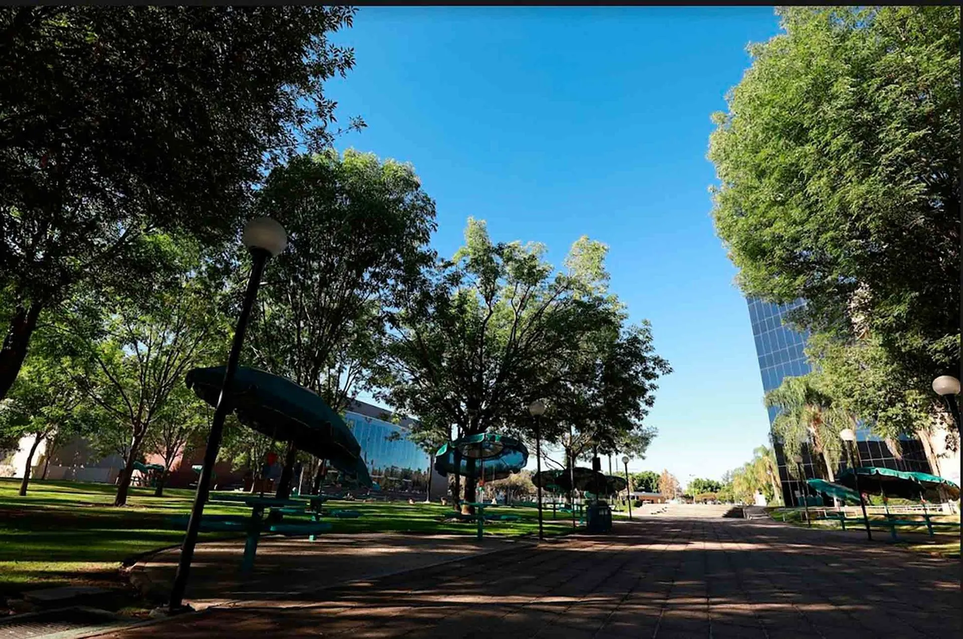 Tec Guadalajara inauguró el Laboratorio de Sostenibilidad y Cambio Climático.