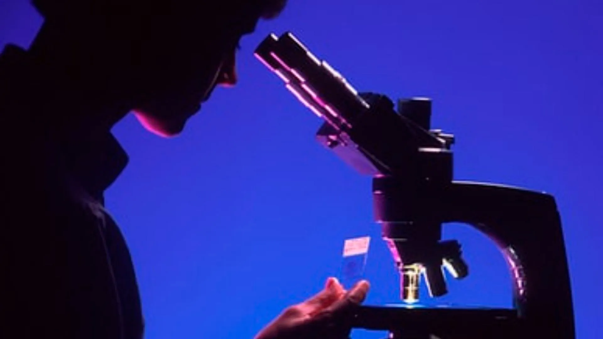 Estudio revela bacterias presentes en alimentos de venta en calle