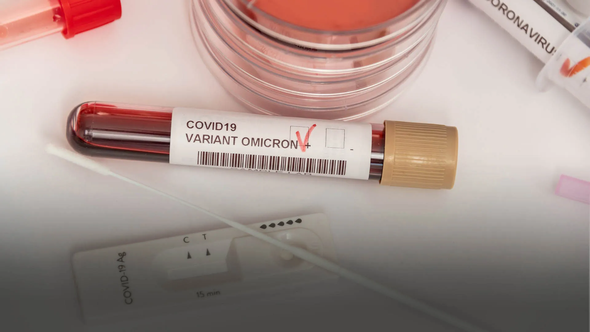 ¿Qué sigue en la pandemia? Variante Ómicron y refuerzos de vacuna