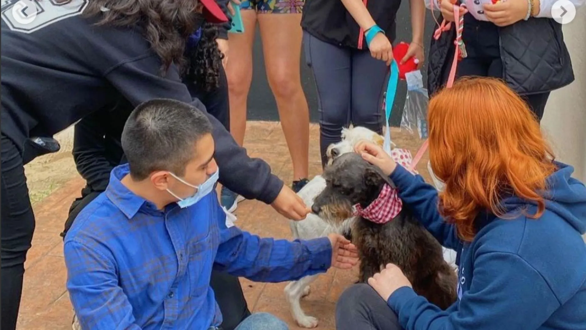 Grupo Estudiantil Vale la Pena